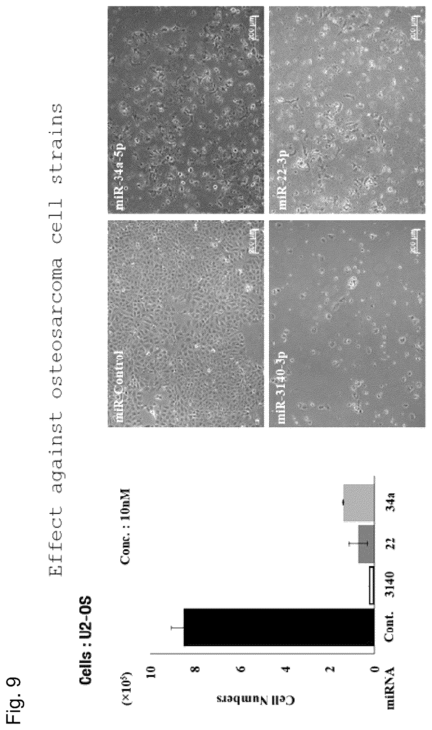Patent US12090167 Figure 9 – Therapeutic pharmaceutical composition for cancer including miRNA