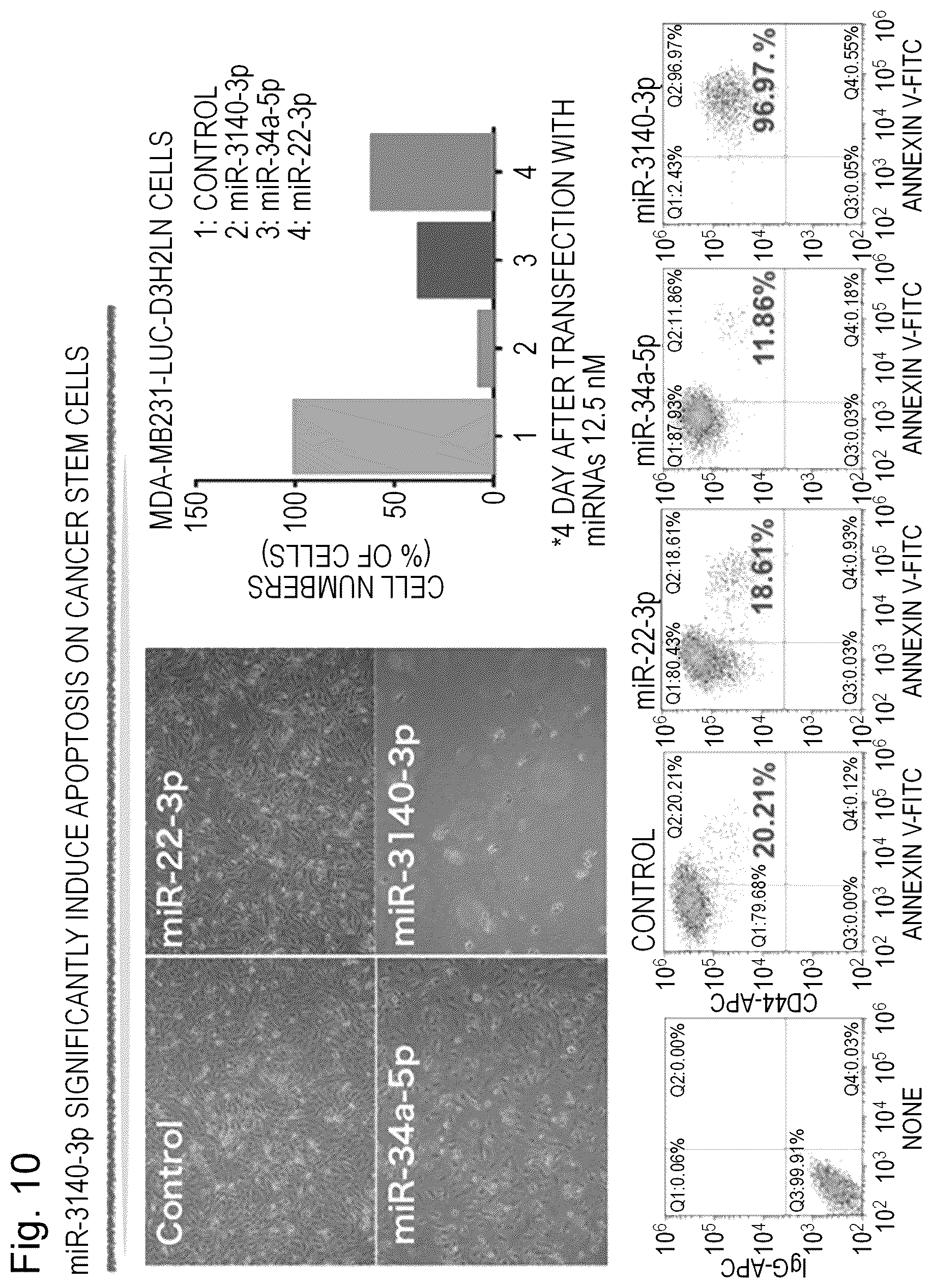 Patent US12090167 Figure 10 – Therapeutic pharmaceutical composition for cancer including miRNA
