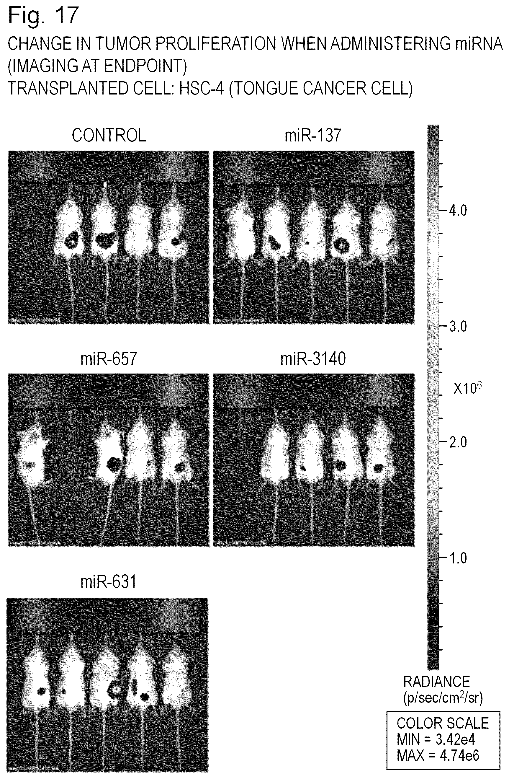 Patent US12090167 Figure 17 – Therapeutic pharmaceutical composition for cancer including miRNA