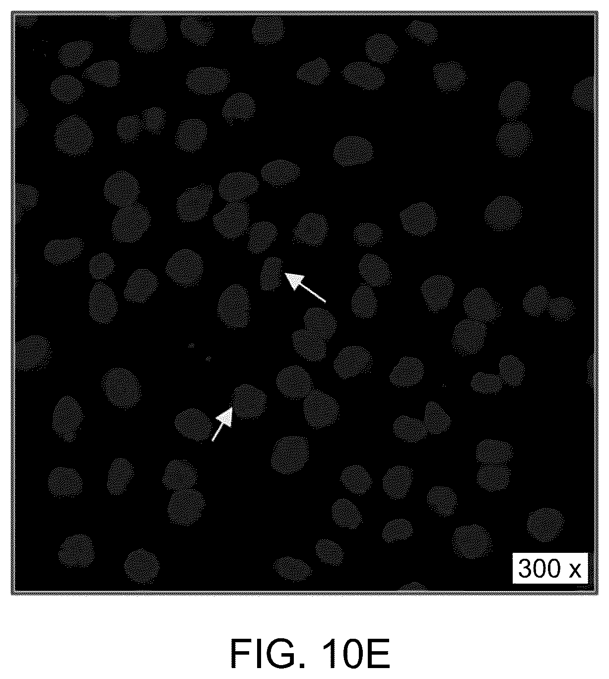 Patent US12090169 Figure 16 – Method for decreasing colorectal cancer cells
