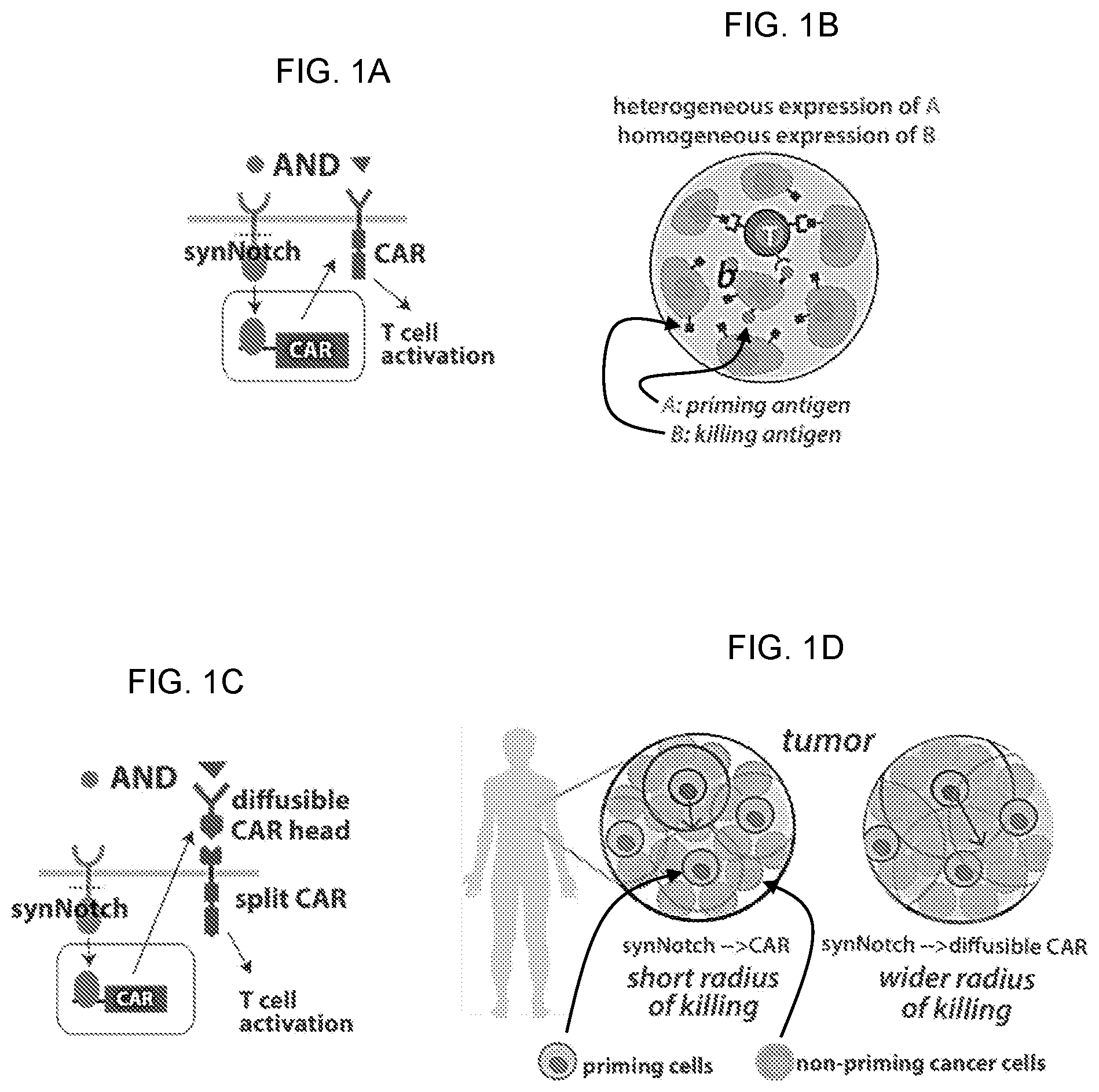 Patent US12090170 Figure 1 – Methods of treating glioblastomas