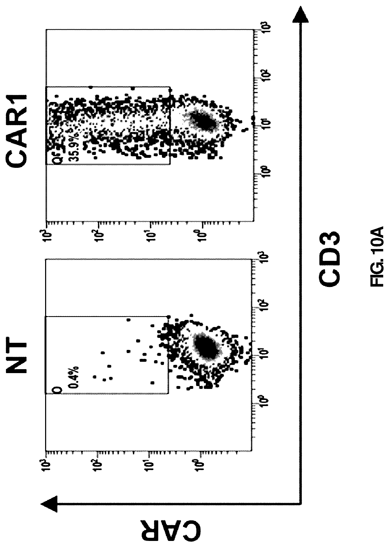 Patent US12090171 Figure 11 – Antibody or antigen binding fragment thereof for specifically recognizing B cell malignancy, chimeric antigen receptor comprising same and use thereof