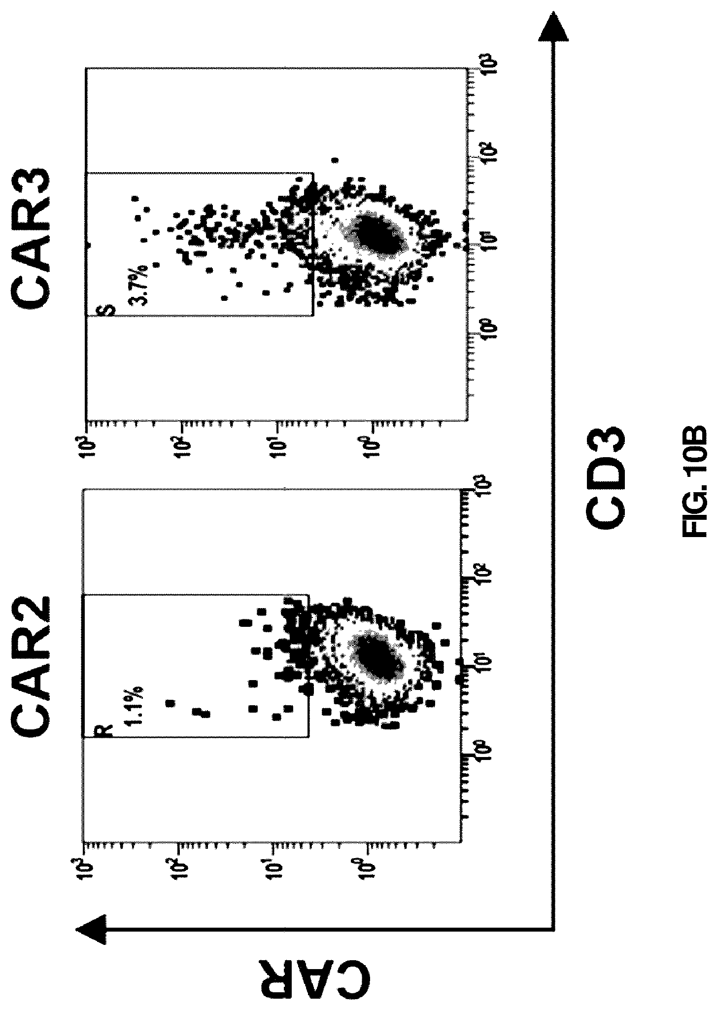 Patent US12090171 Figure 12 – Antibody or antigen binding fragment thereof for specifically recognizing B cell malignancy, chimeric antigen receptor comprising same and use thereof