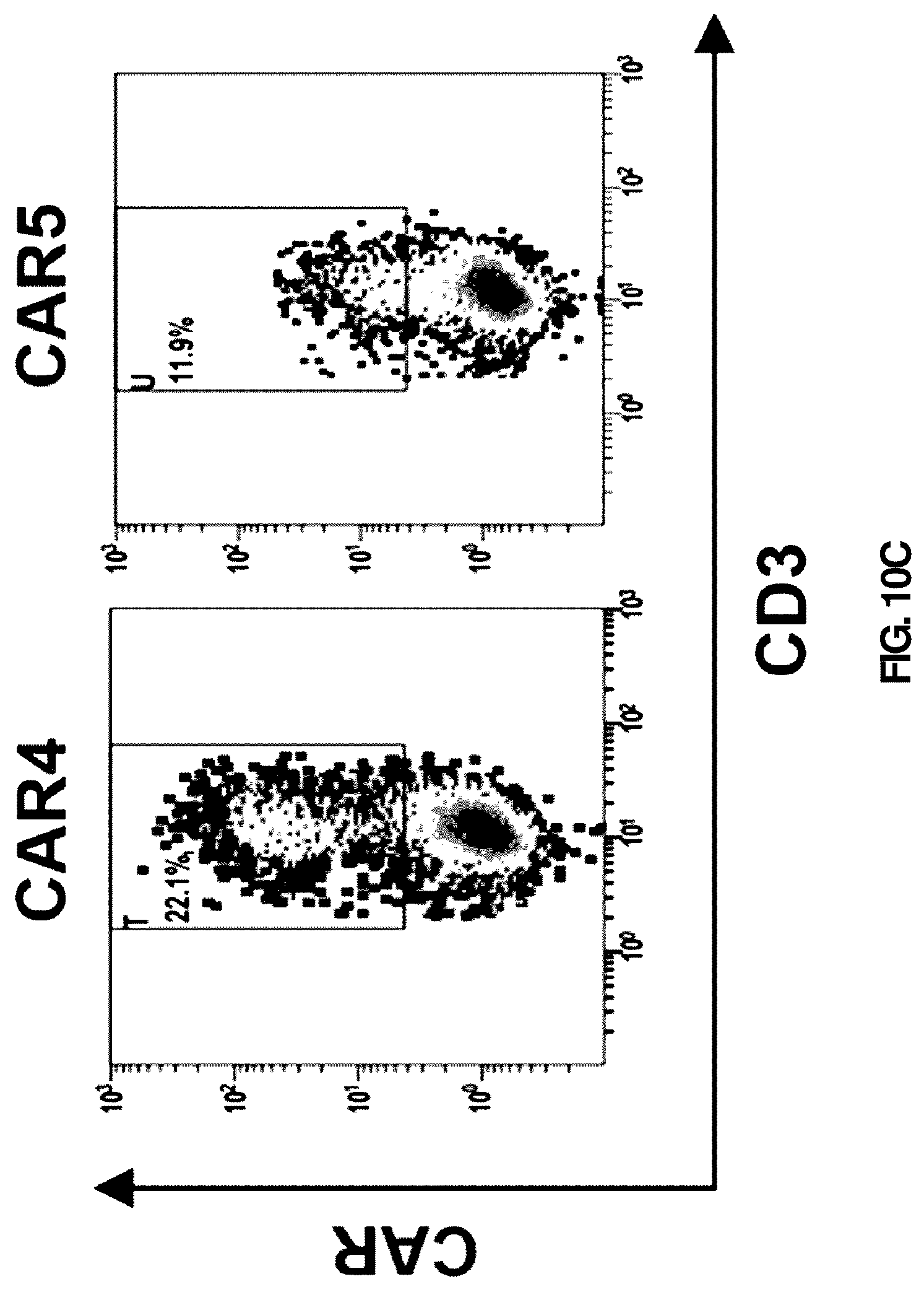 Patent US12090171 Figure 13 – Antibody or antigen binding fragment thereof for specifically recognizing B cell malignancy, chimeric antigen receptor comprising same and use thereof