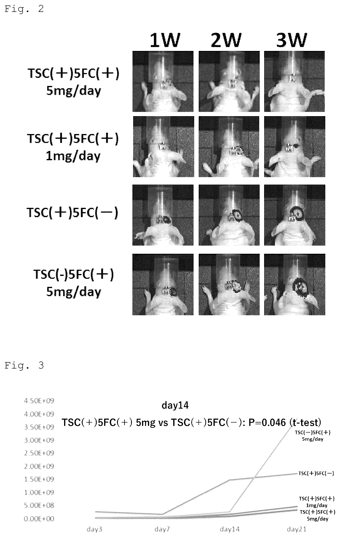 Patent US12090172 Figure 2 – Suicide gene therapeutic agent for brain tumors using pluripotent stem cell