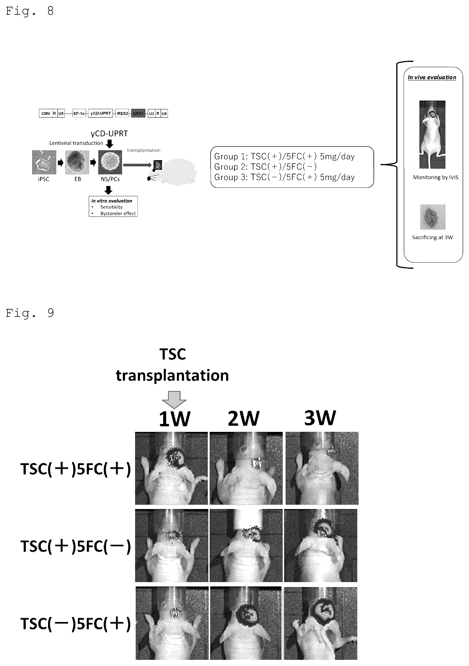 Patent US12090172 Figure 5 – Suicide gene therapeutic agent for brain tumors using pluripotent stem cell