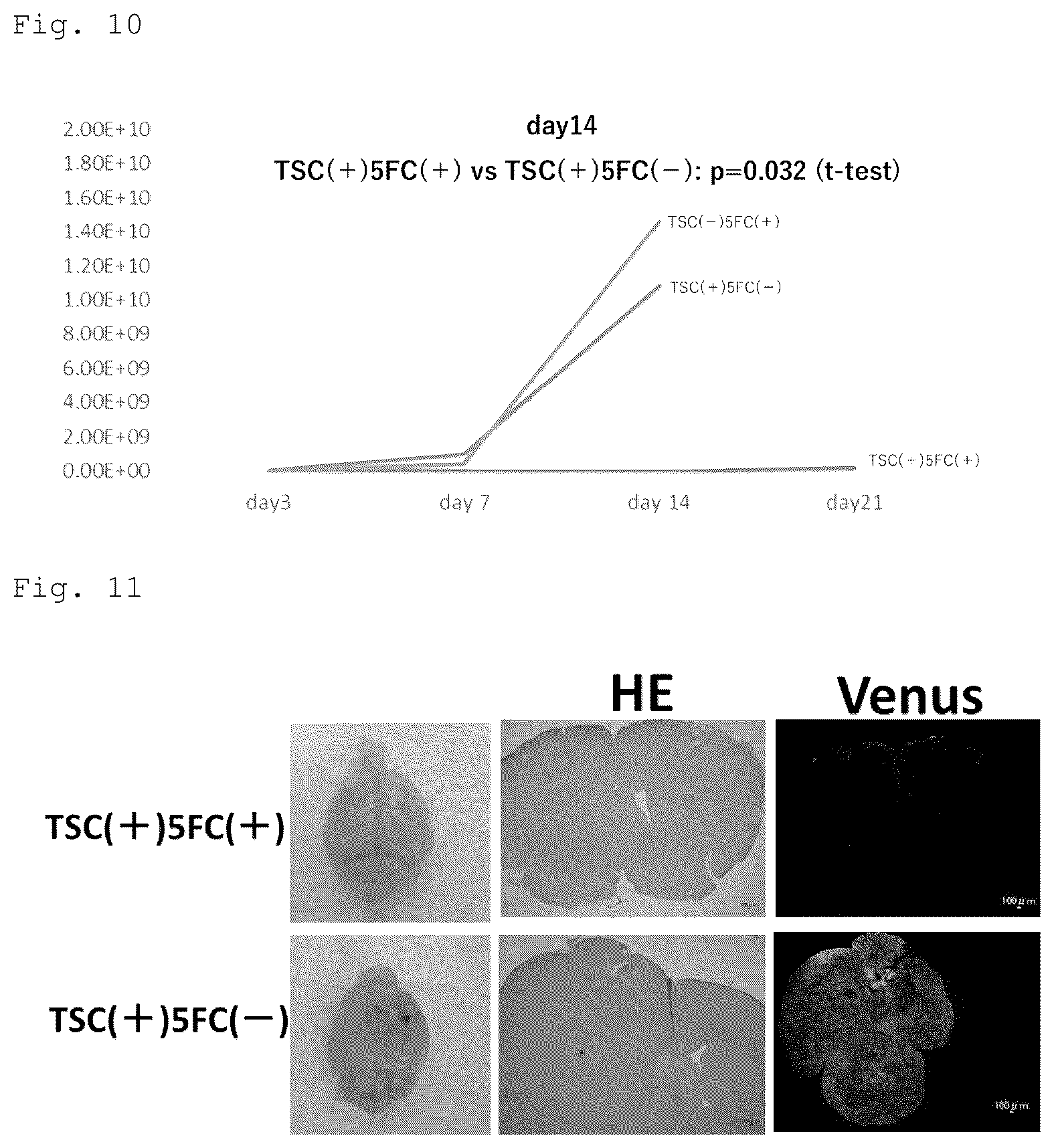 Patent US12090172 Figure 6 – Suicide gene therapeutic agent for brain tumors using pluripotent stem cell