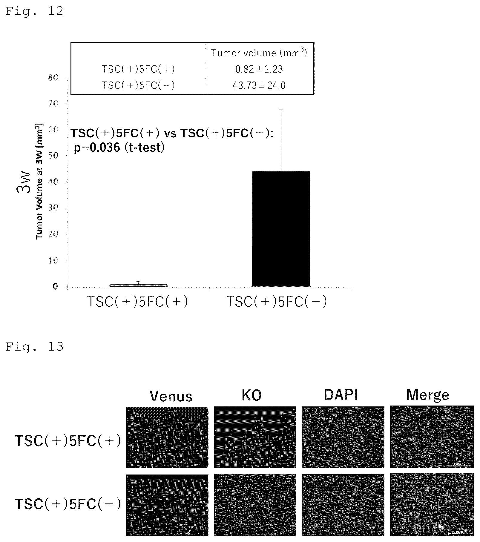 Patent US12090172 Figure 7 – Suicide gene therapeutic agent for brain tumors using pluripotent stem cell