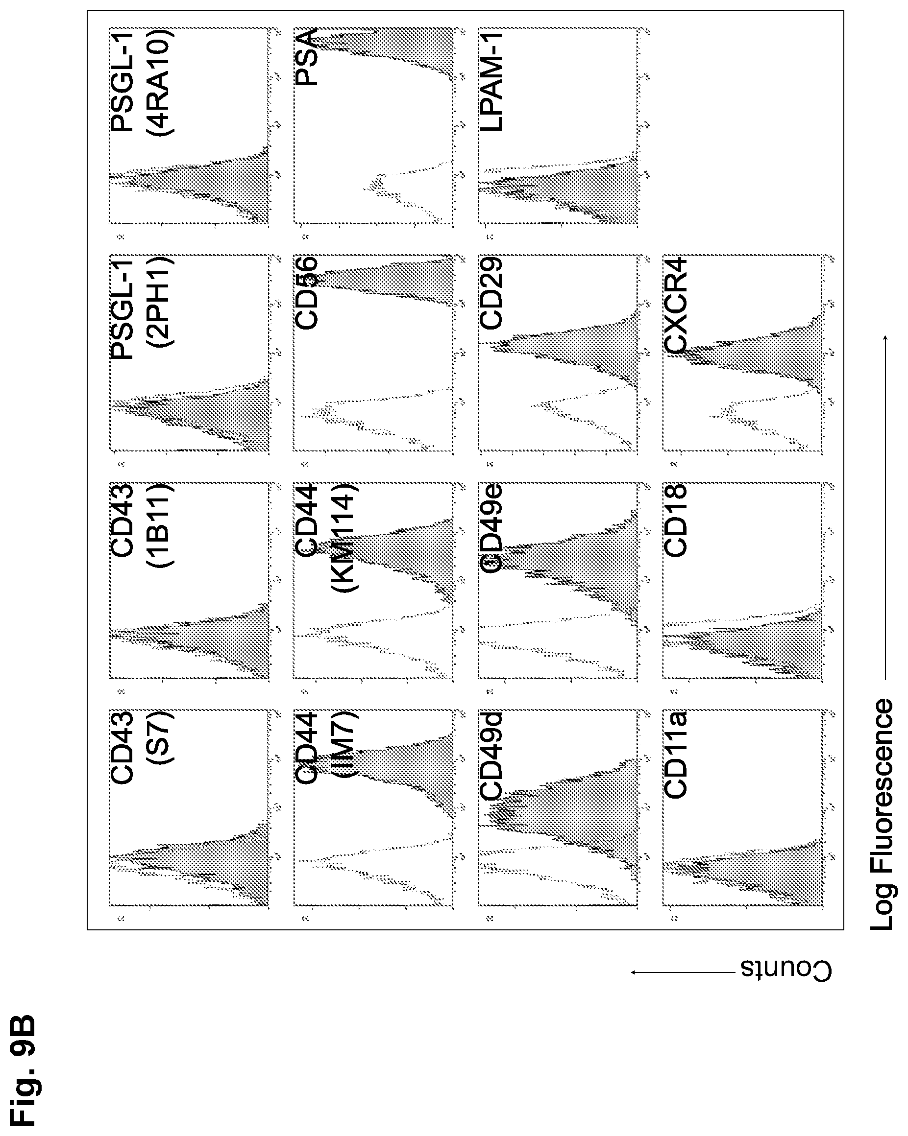 Patent US12090173 Figure 12 – Methods to improve cell therapy