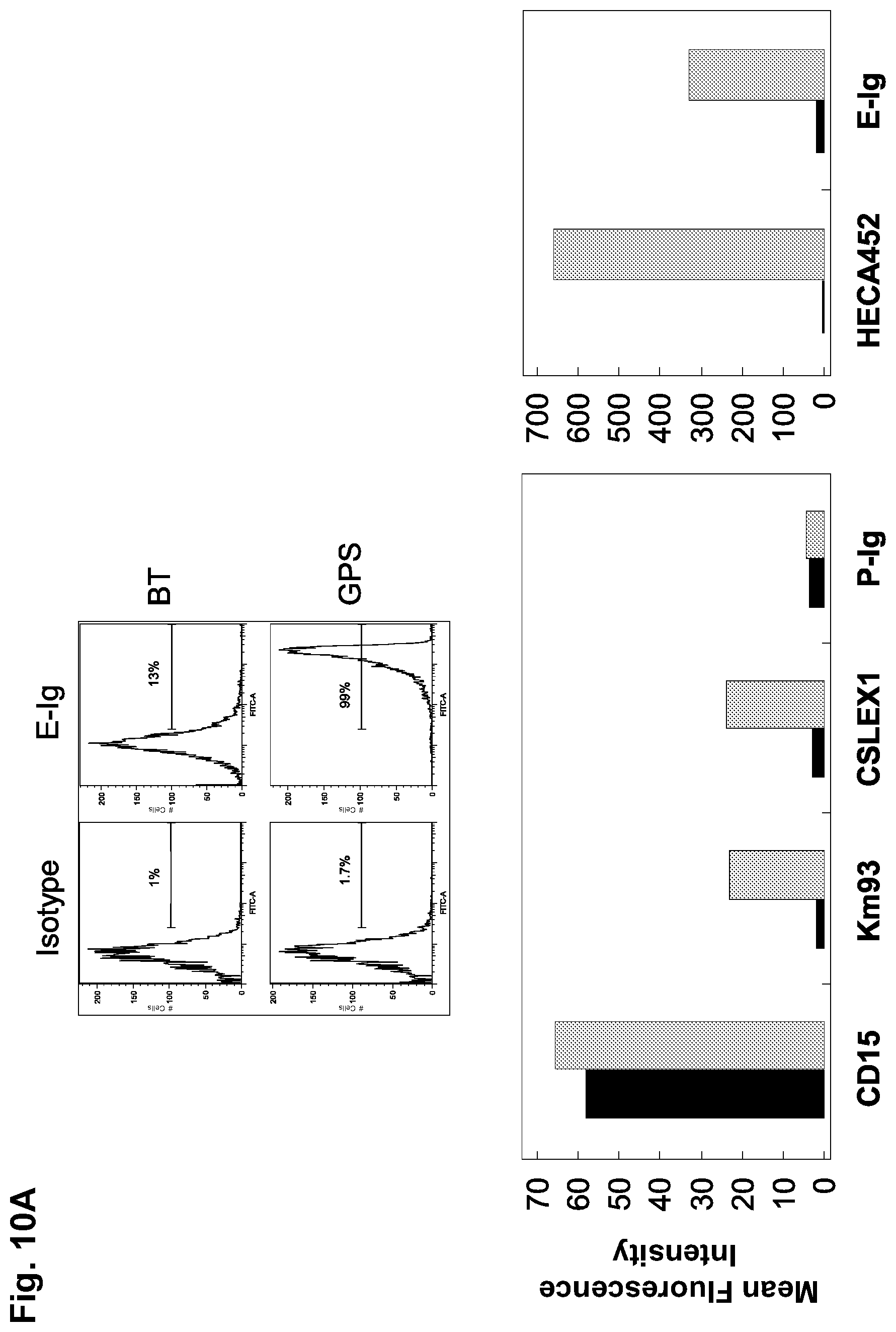 Patent US12090173 Figure 13 – Methods to improve cell therapy
