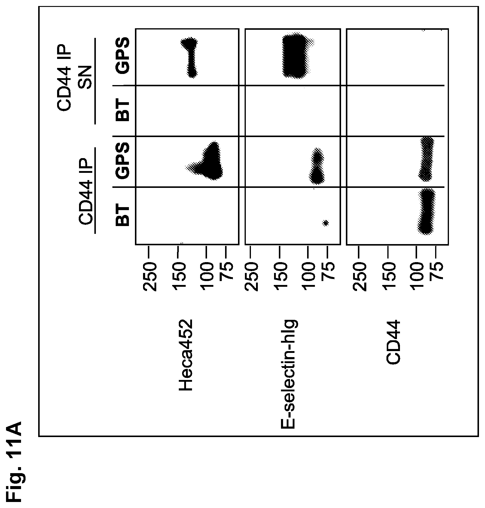 Patent US12090173 Figure 16 – Methods to improve cell therapy