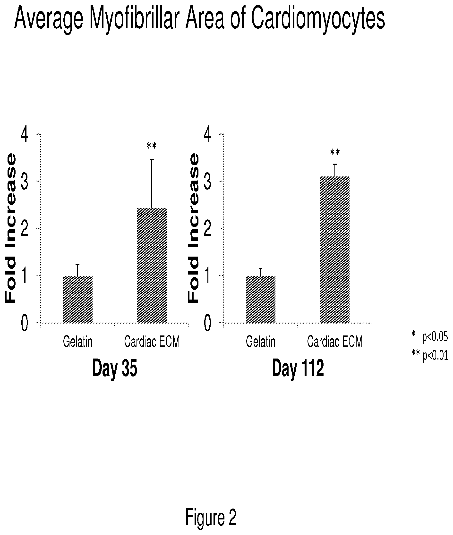 Patent US12090175 Figure 2 – Compositions and methods for tissue repair with extracellular matrices