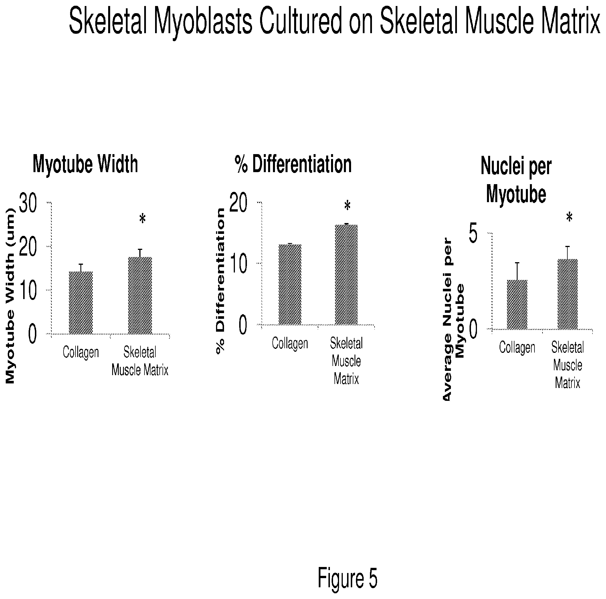 Patent US12090175 Figure 5 – Compositions and methods for tissue repair with extracellular matrices