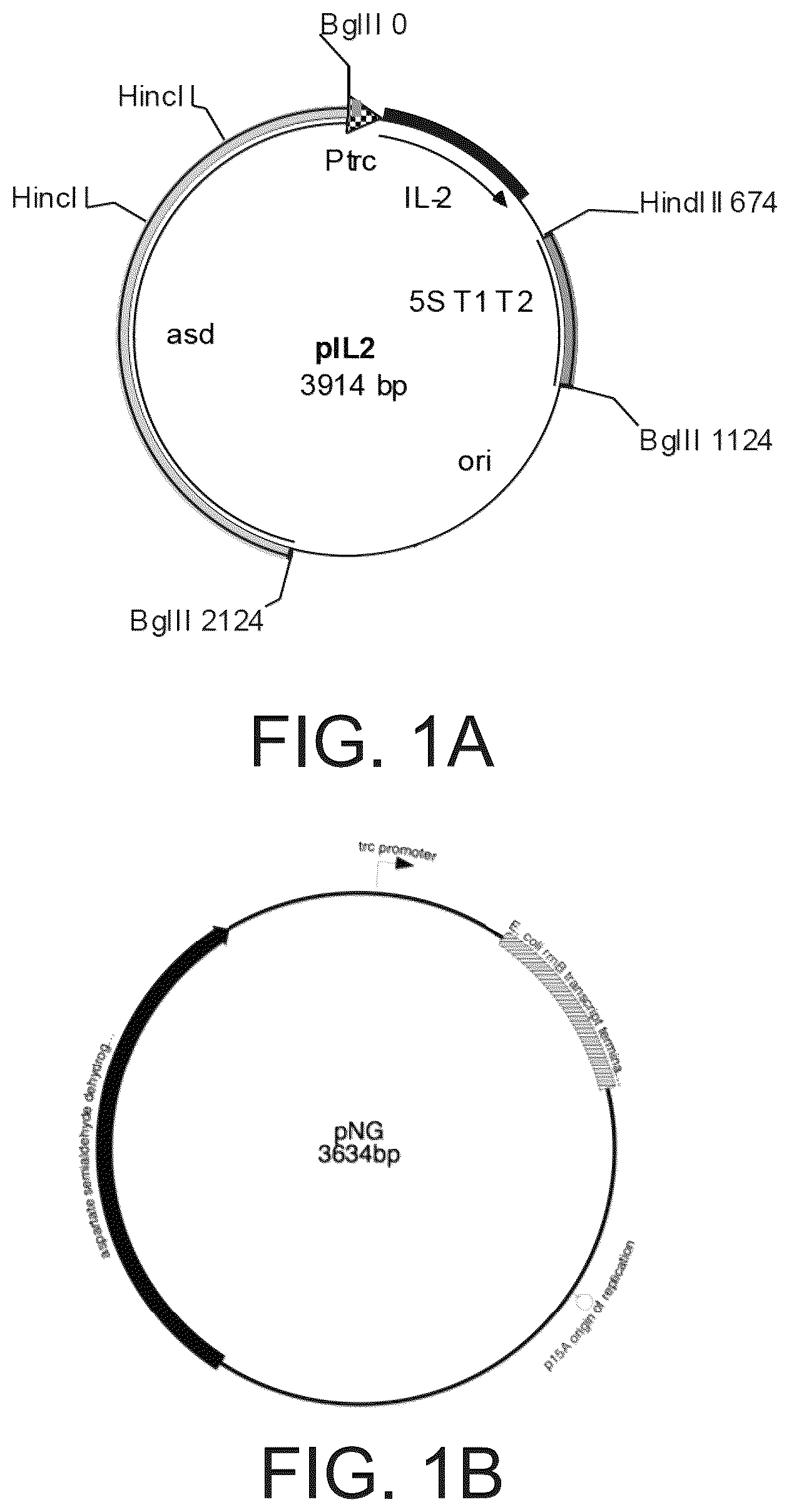 Patent US12090179 Figure 1 – Methods of synergistic treatment of cancer