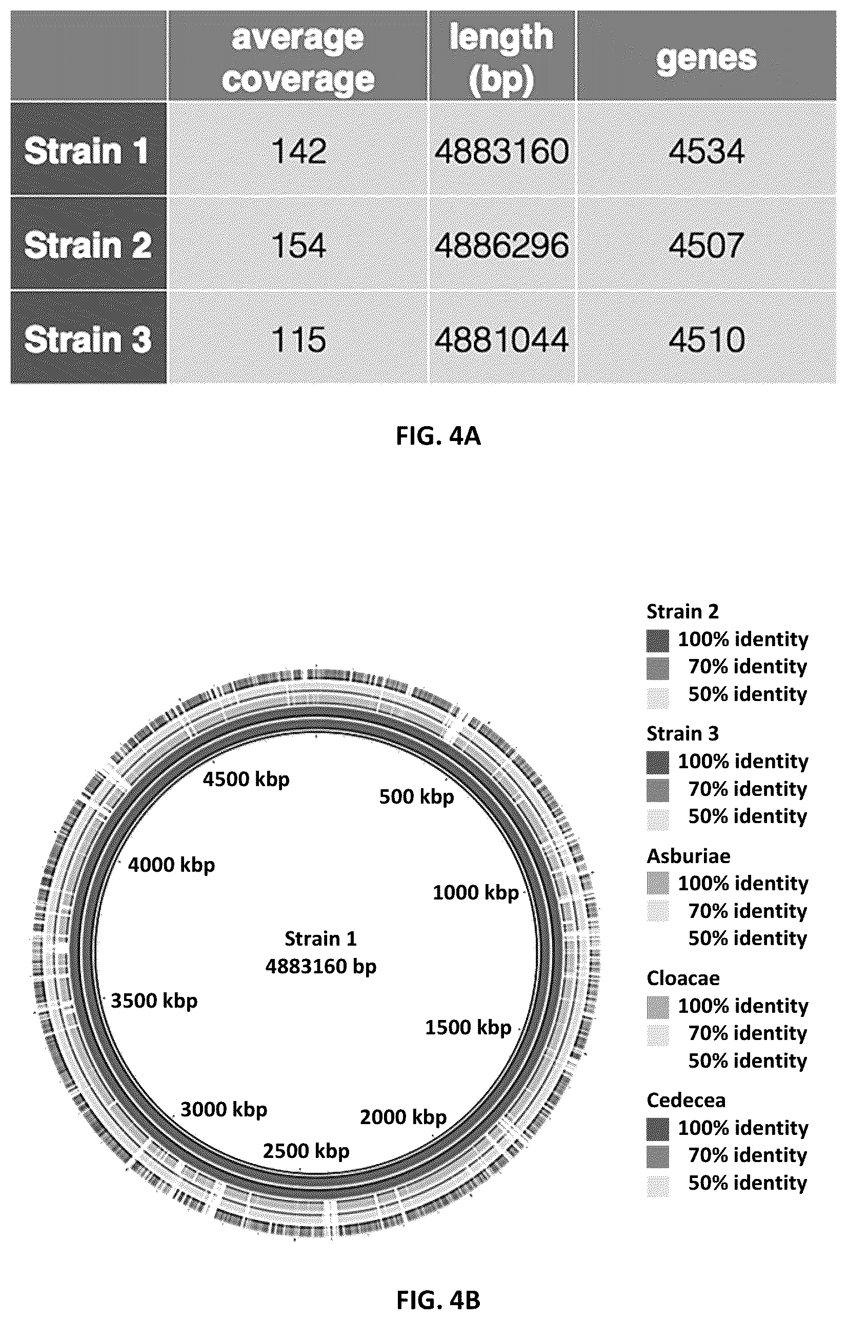 Patent US12090180 Figure 4 – Microbial hyperswarmers and uses thereof