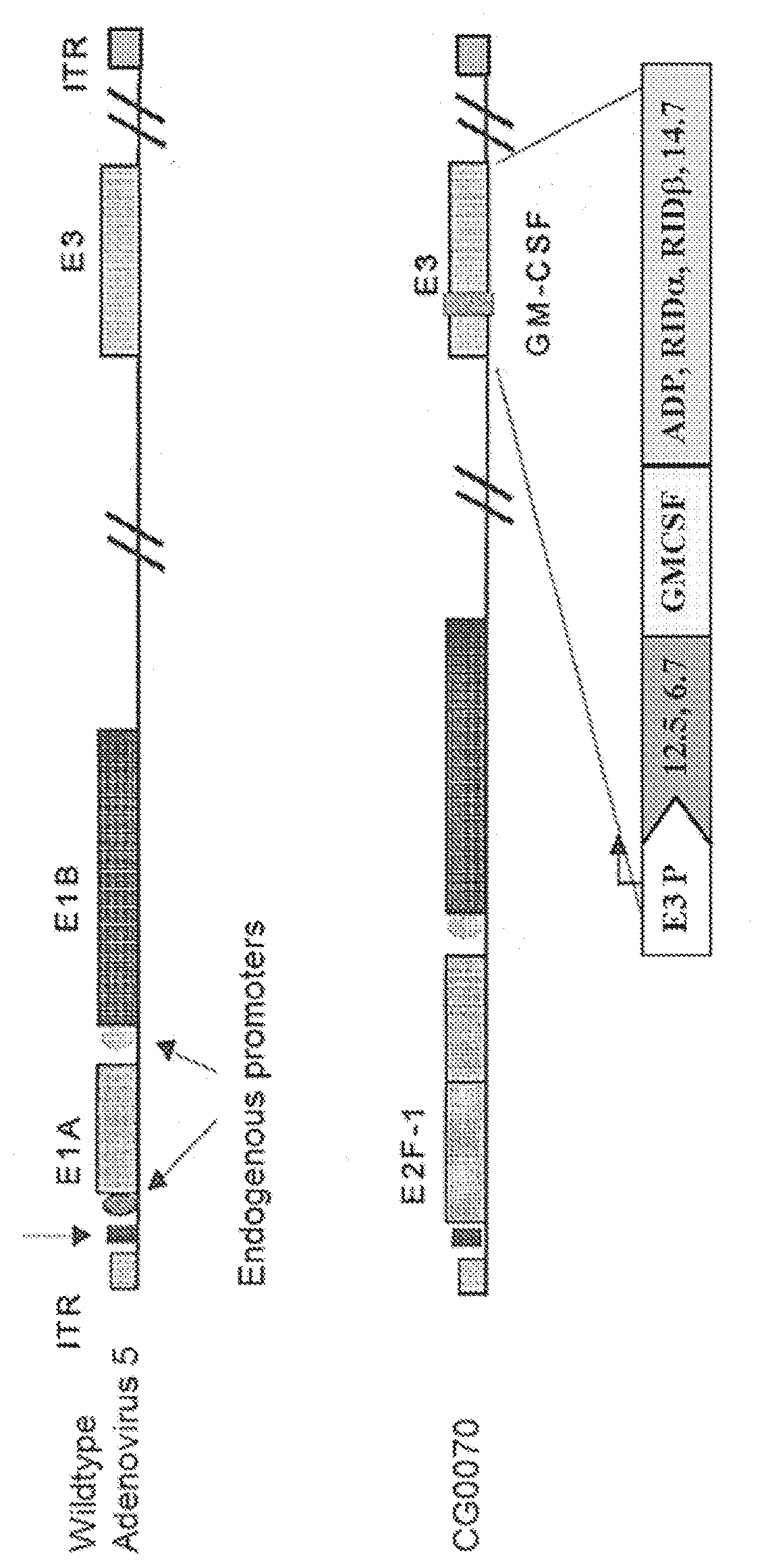 Patent US12090183 Figure 1 – Methods of treating solid or lymphatic tumors by combination therapy