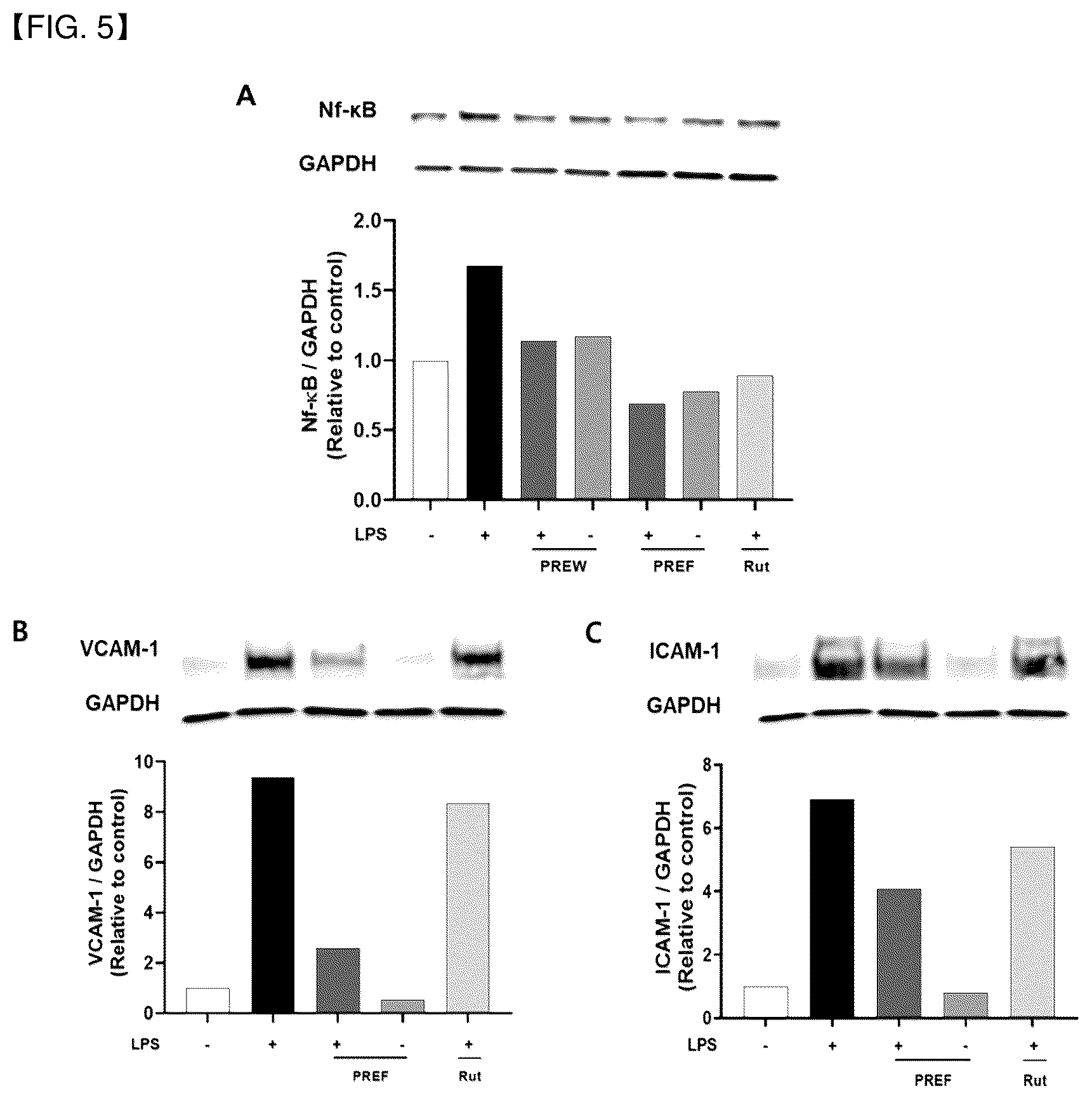 Patent US12090187 Figure 5 – Method for preventing or treating diseases related to vascular endothelial cell activity regulation, comprising a step of administering java pepper extract