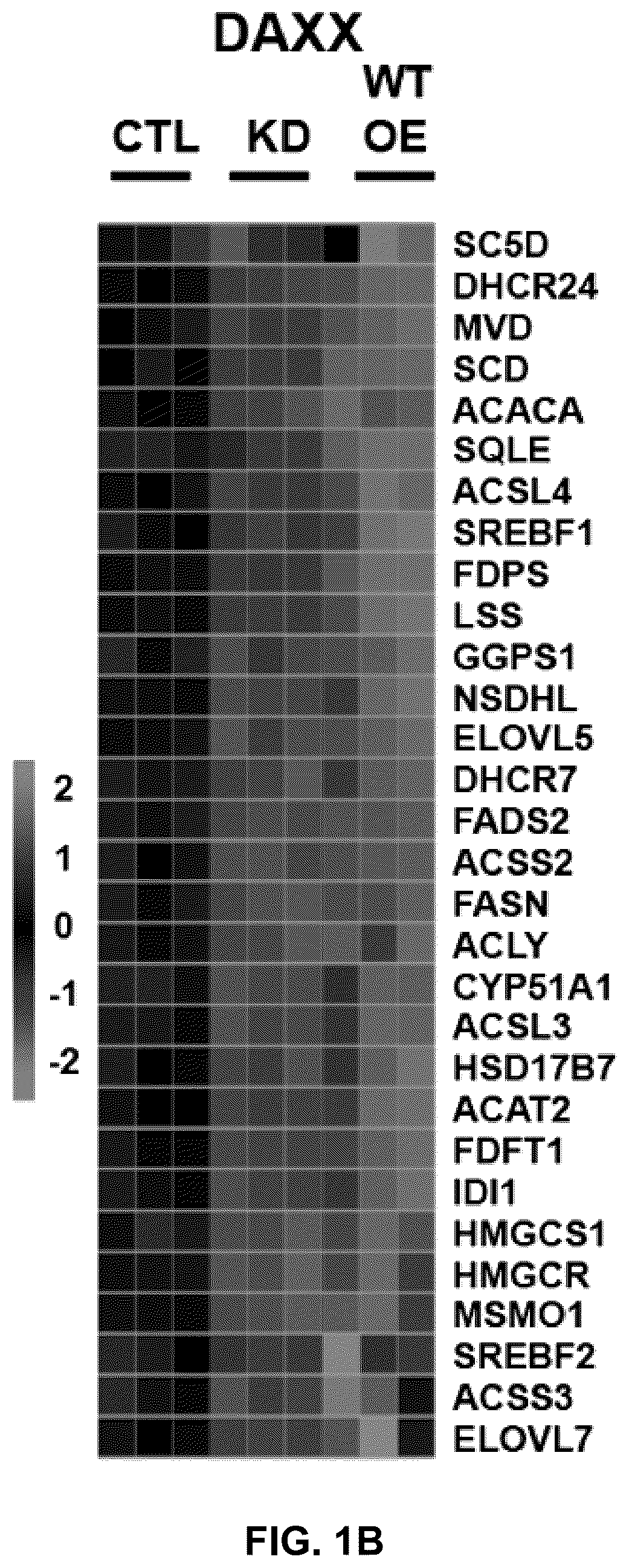 Patent US12090189 Figure 2 – Polypeptide inhibitor of de novo lipogenesis in cancer cells