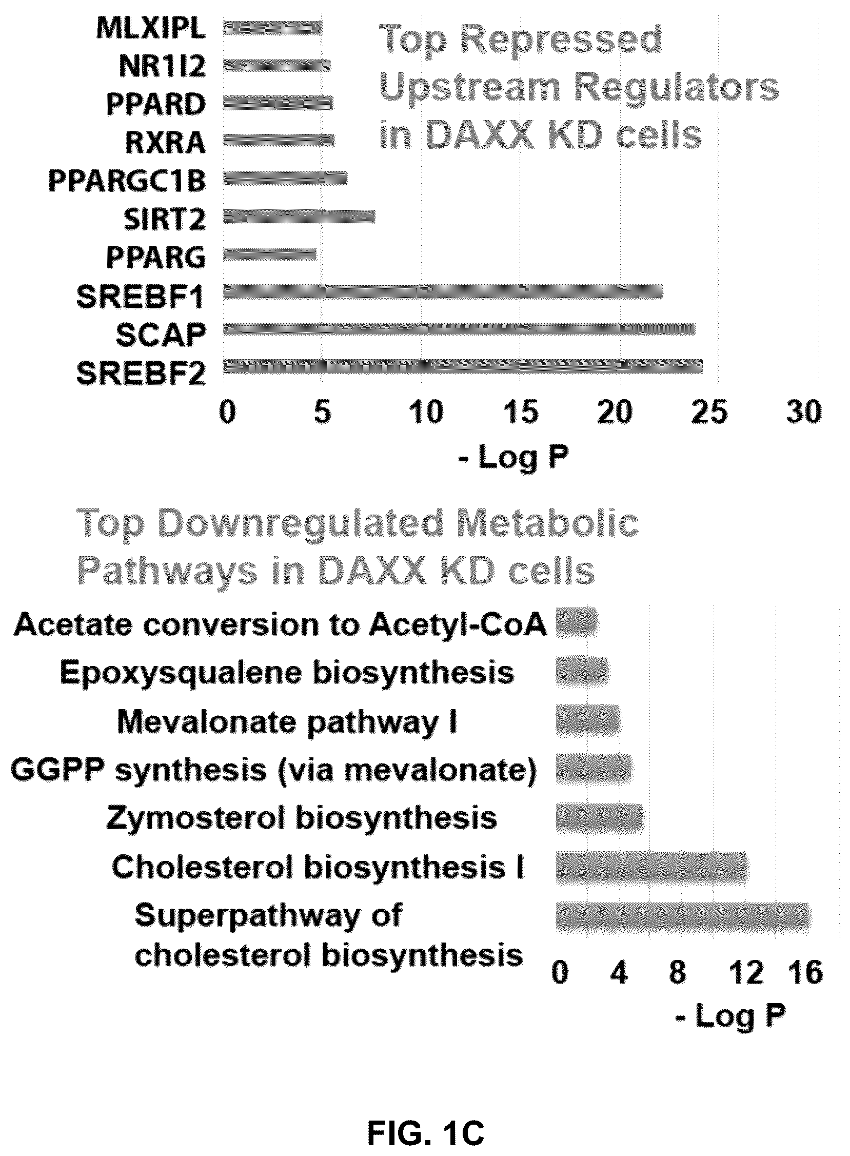 Patent US12090189 Figure 3 – Polypeptide inhibitor of de novo lipogenesis in cancer cells