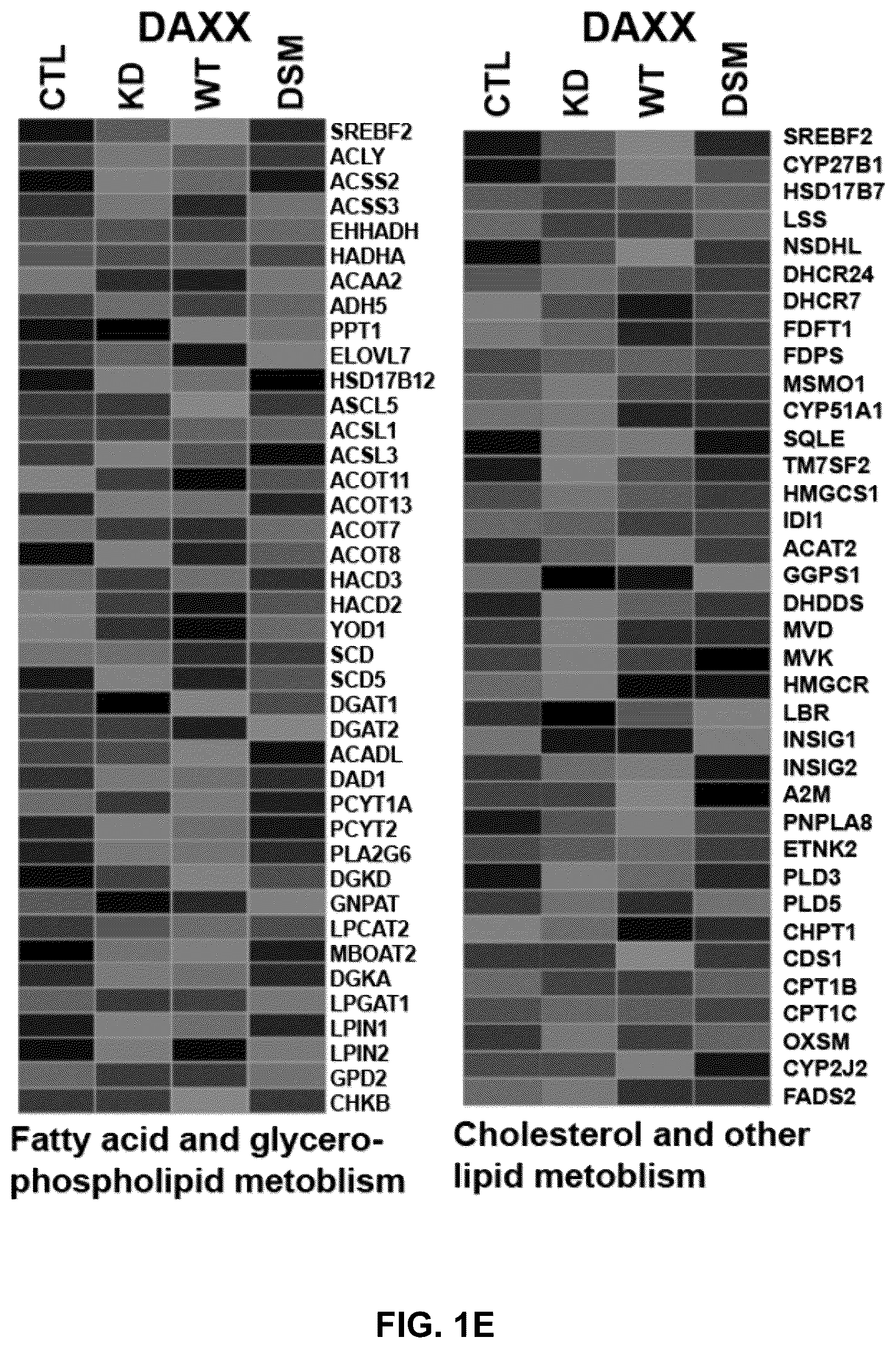 Patent US12090189 Figure 5 – Polypeptide inhibitor of de novo lipogenesis in cancer cells