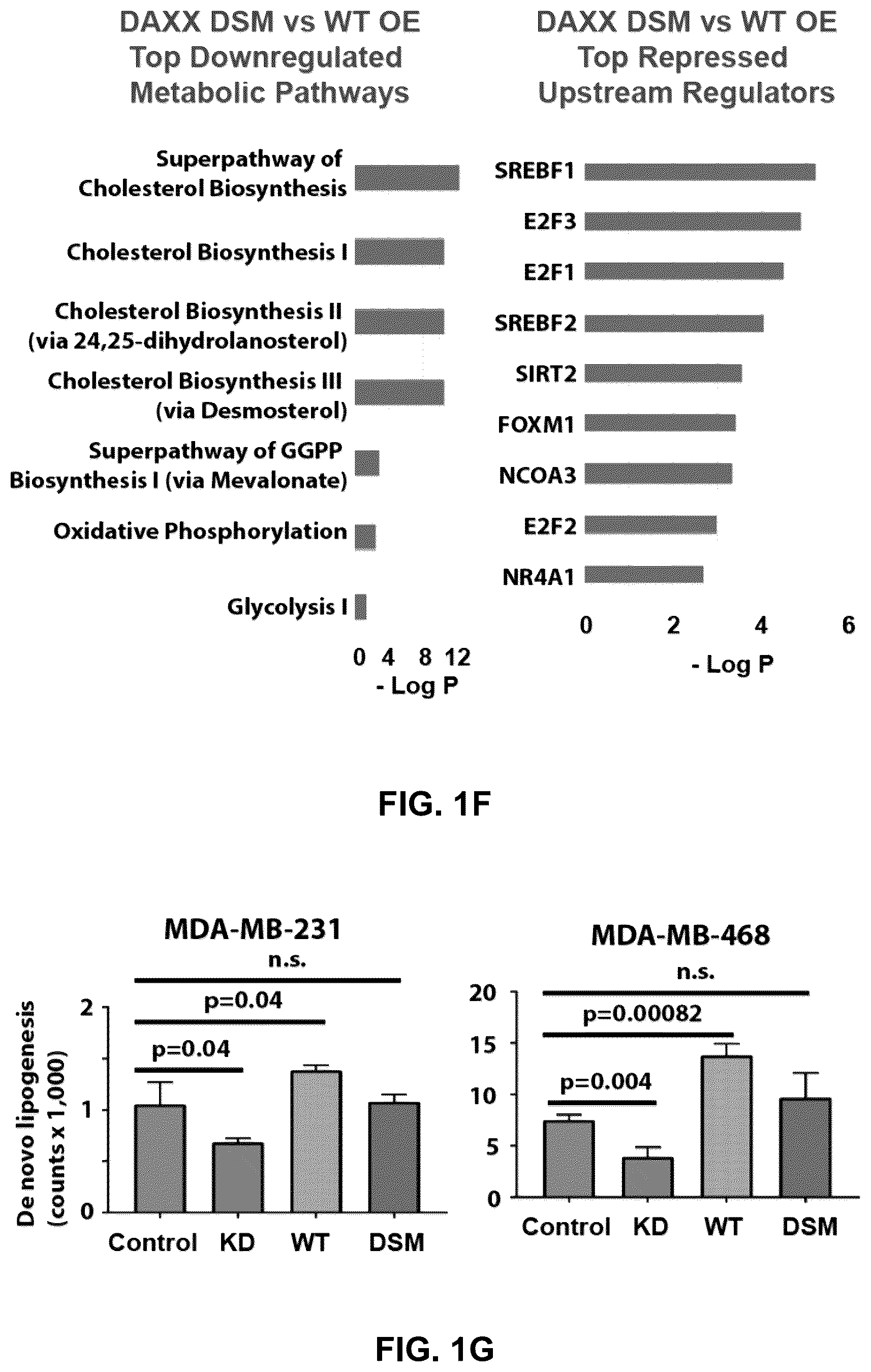 Patent US12090189 Figure 6 – Polypeptide inhibitor of de novo lipogenesis in cancer cells