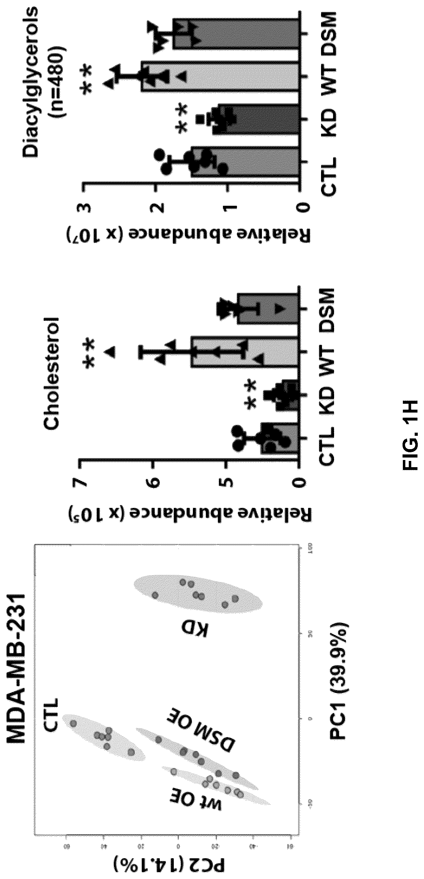Patent US12090189 Figure 7 – Polypeptide inhibitor of de novo lipogenesis in cancer cells