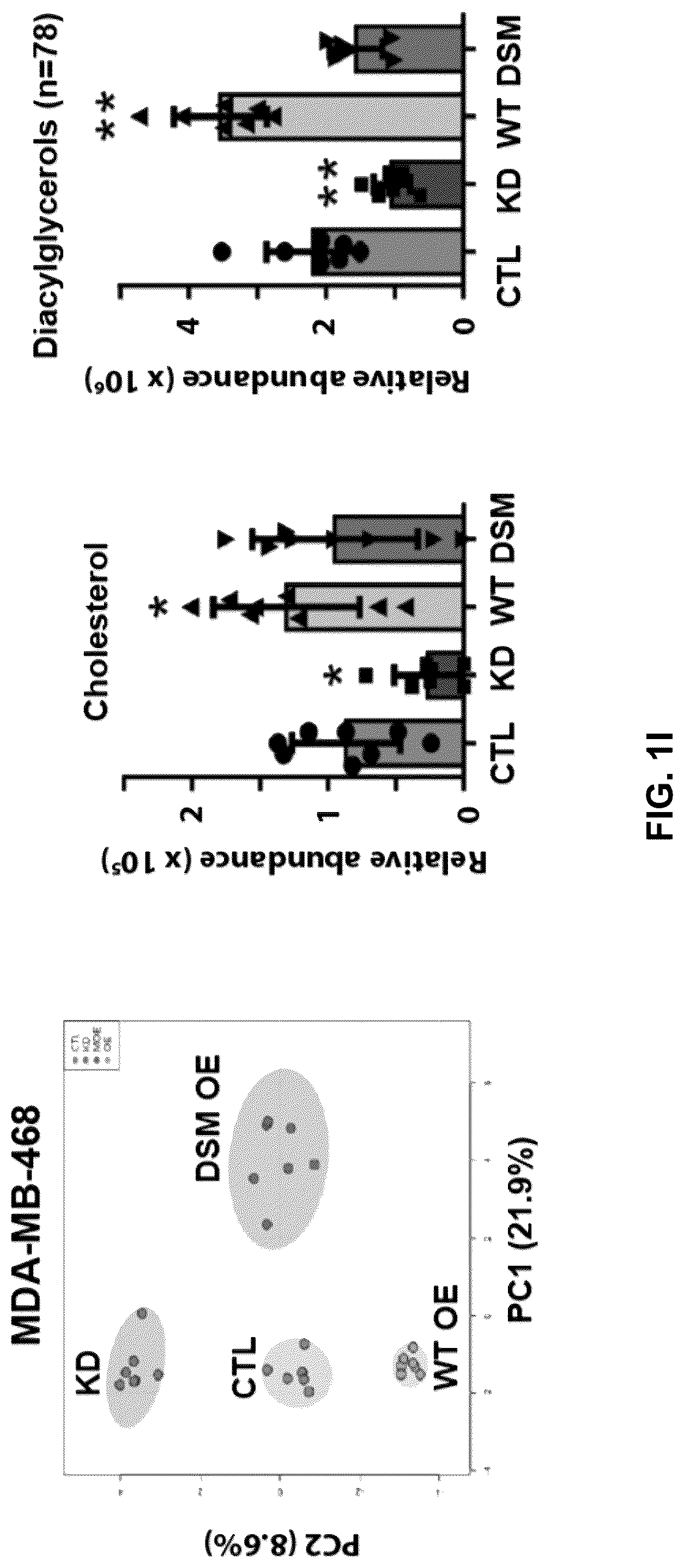 Patent US12090189 Figure 8 – Polypeptide inhibitor of de novo lipogenesis in cancer cells
