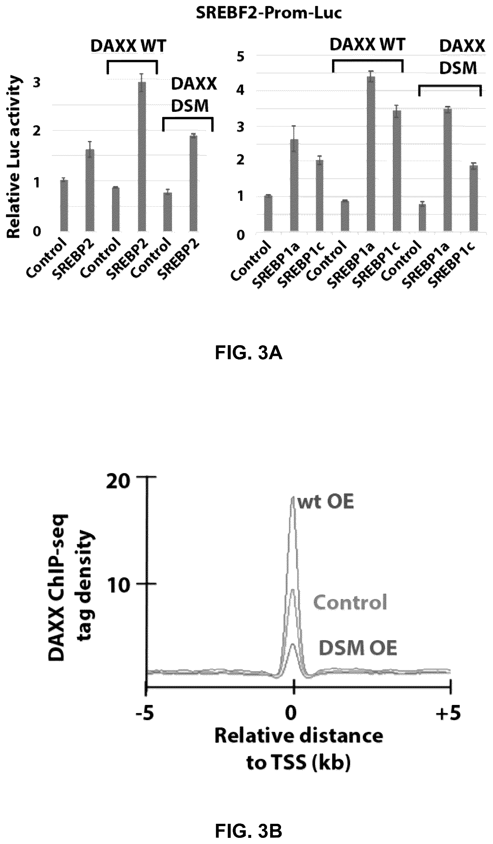 Patent US12090189 Figure 13 – Polypeptide inhibitor of de novo lipogenesis in cancer cells