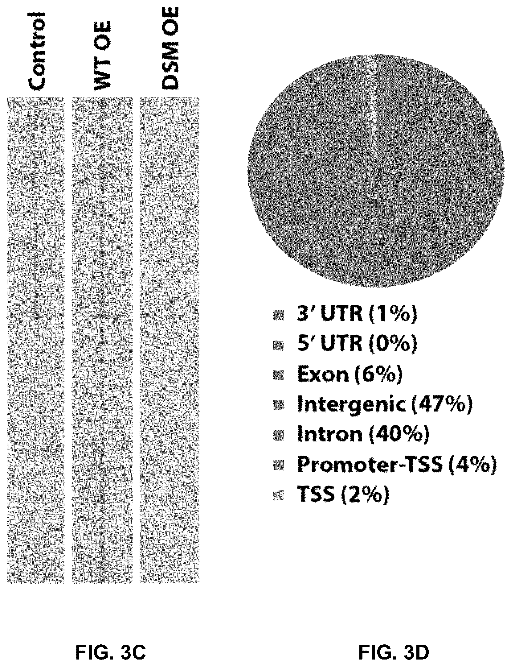 Patent US12090189 Figure 14 – Polypeptide inhibitor of de novo lipogenesis in cancer cells