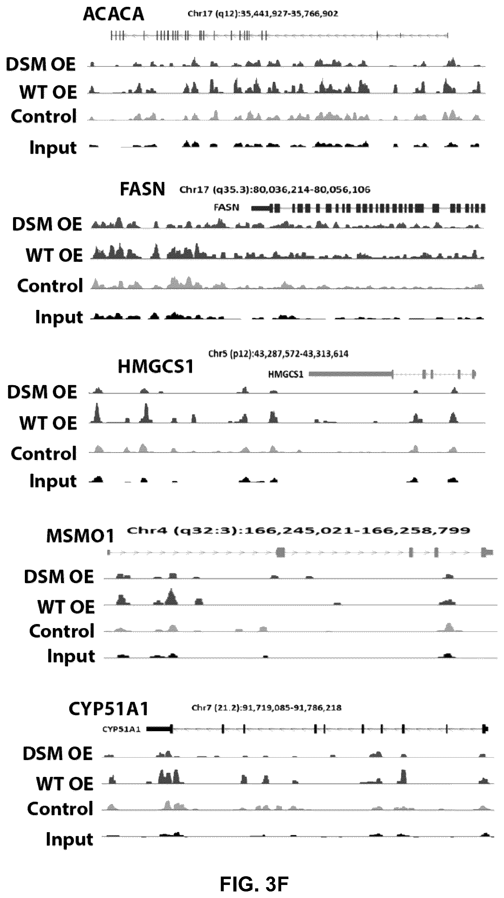 Patent US12090189 Figure 16 – Polypeptide inhibitor of de novo lipogenesis in cancer cells
