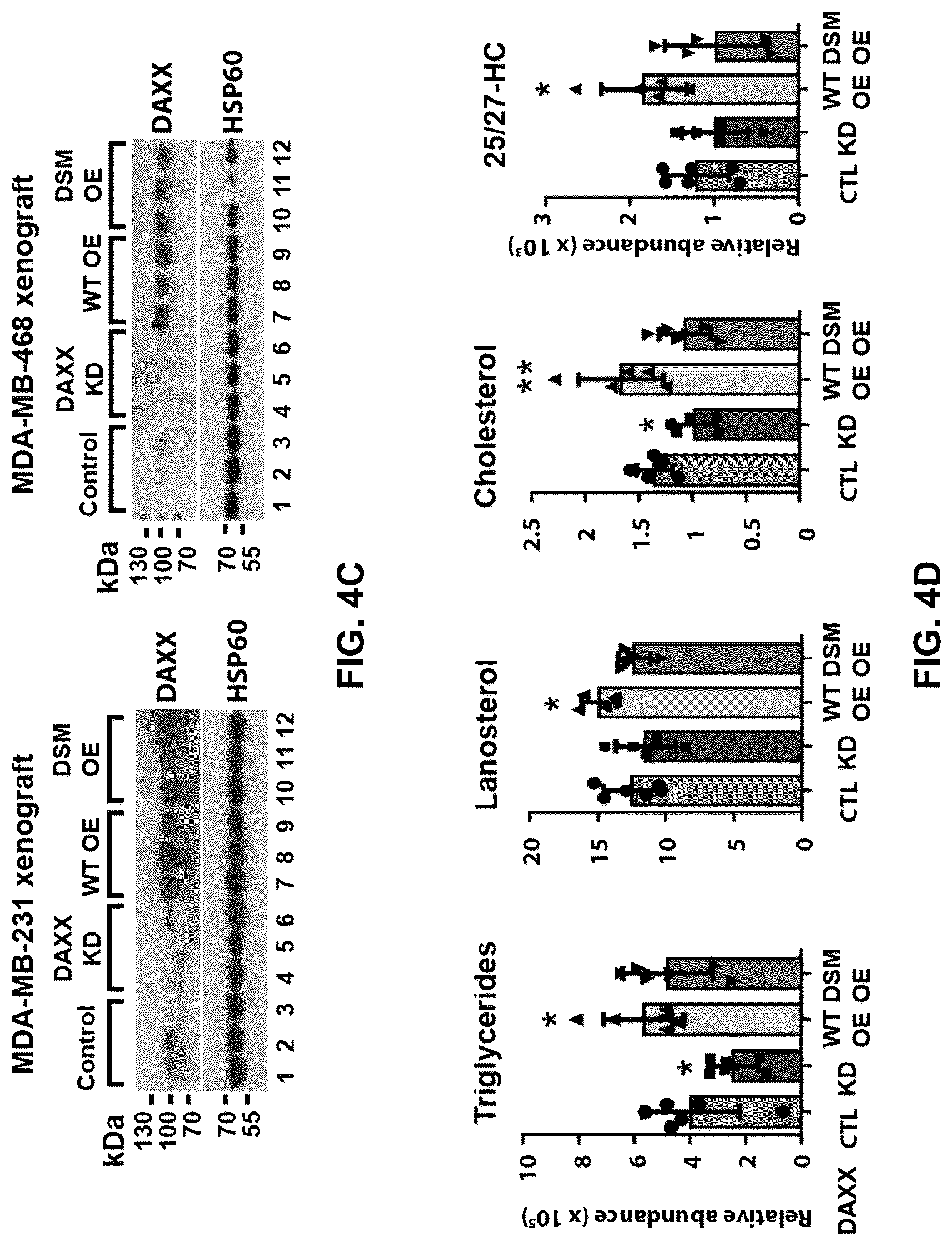 Patent US12090189 Figure 18 – Polypeptide inhibitor of de novo lipogenesis in cancer cells