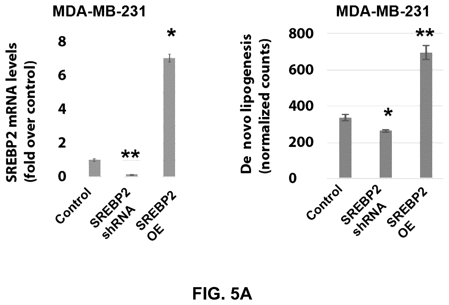 Patent US12090189 Figure 19 – Polypeptide inhibitor of de novo lipogenesis in cancer cells