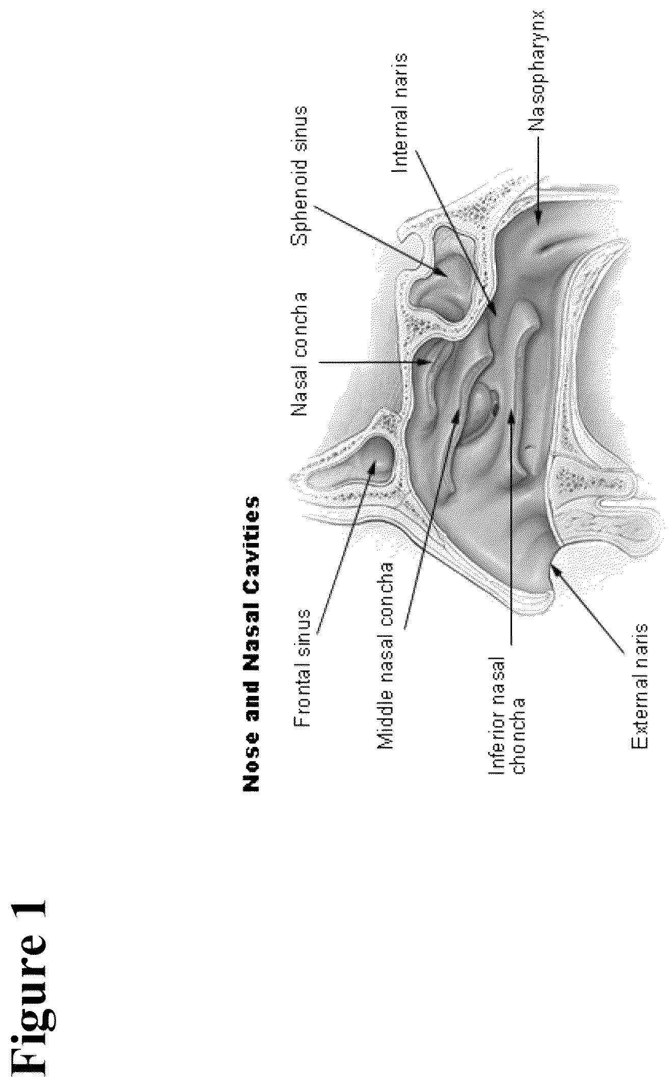 Patent US12090190 Figure 1 – Safe desmopressin administration