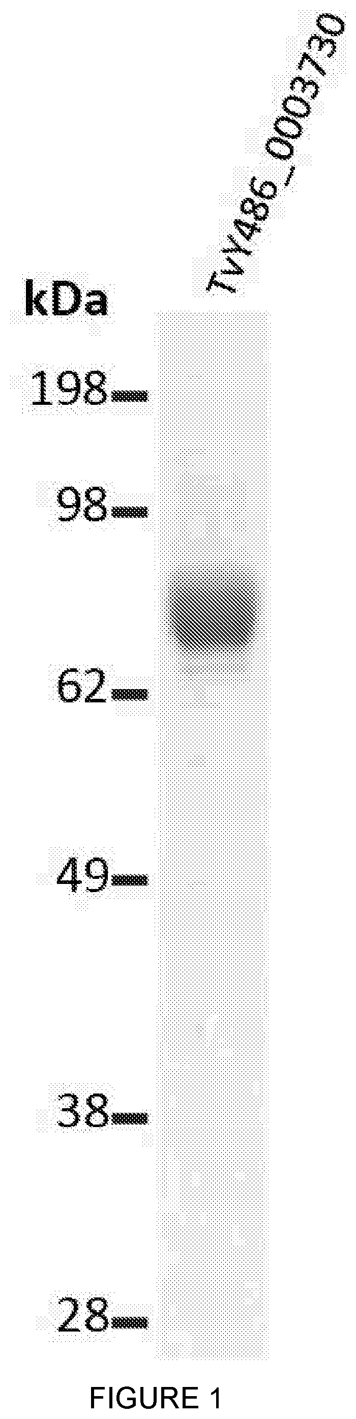 Patent US12090196 — Trypanosomal vaccine — Figure 1