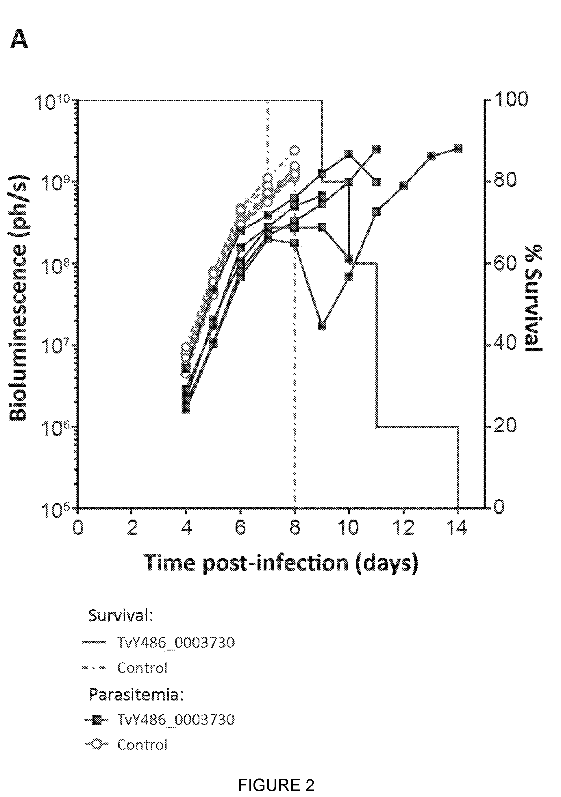 Patent US12090196 Figure 2 – Trypanosomal vaccine