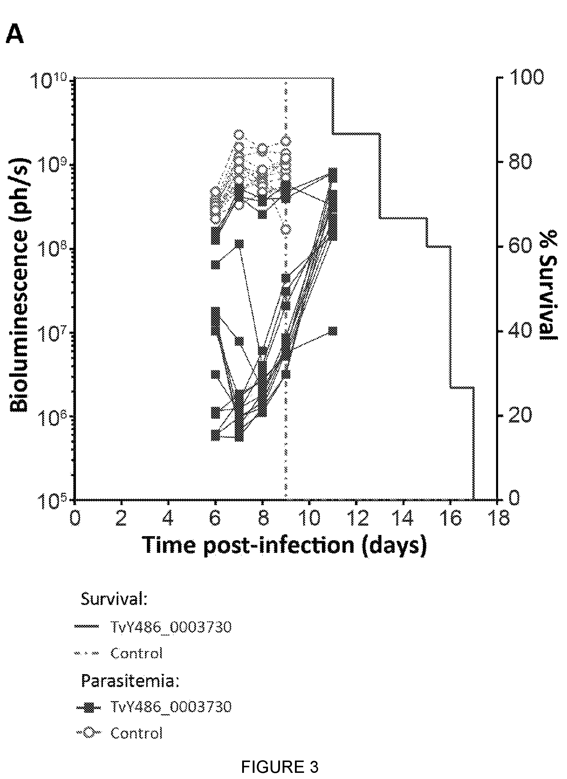 Patent US12090196 Figure 5 – Trypanosomal vaccine