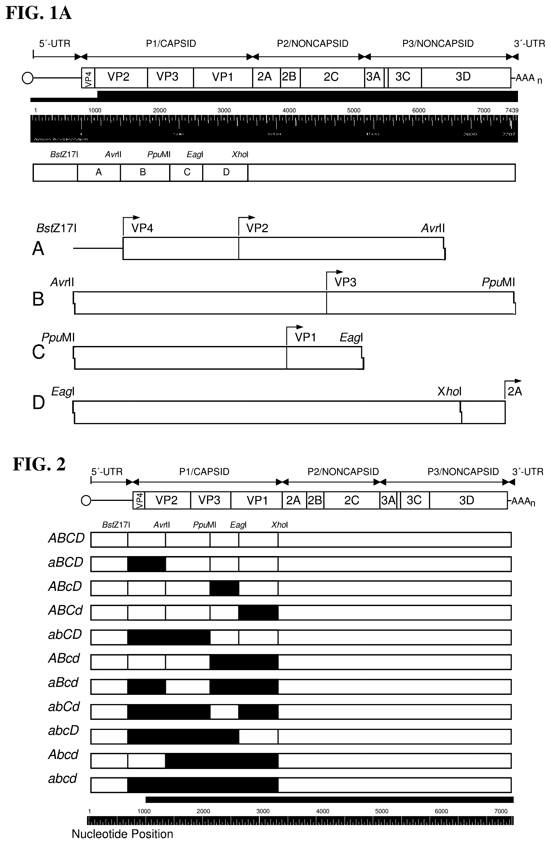 Patent US12090197 Figure 1 – Modulation of replicative fitness by deoptimization of synonymous codons