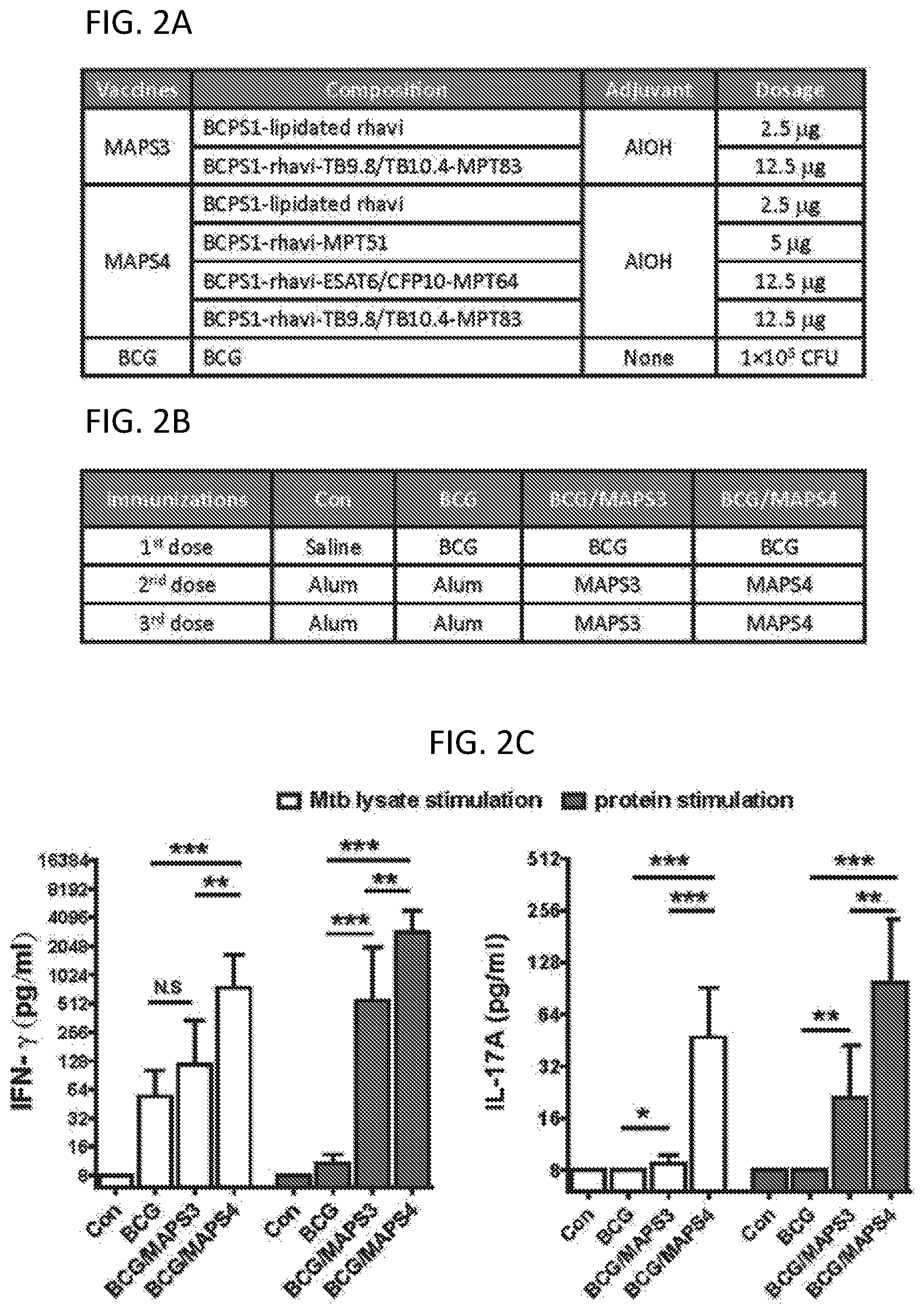Patent US12090198 Figure 2 – Combined vaccine against mycobacterium tuberculosis