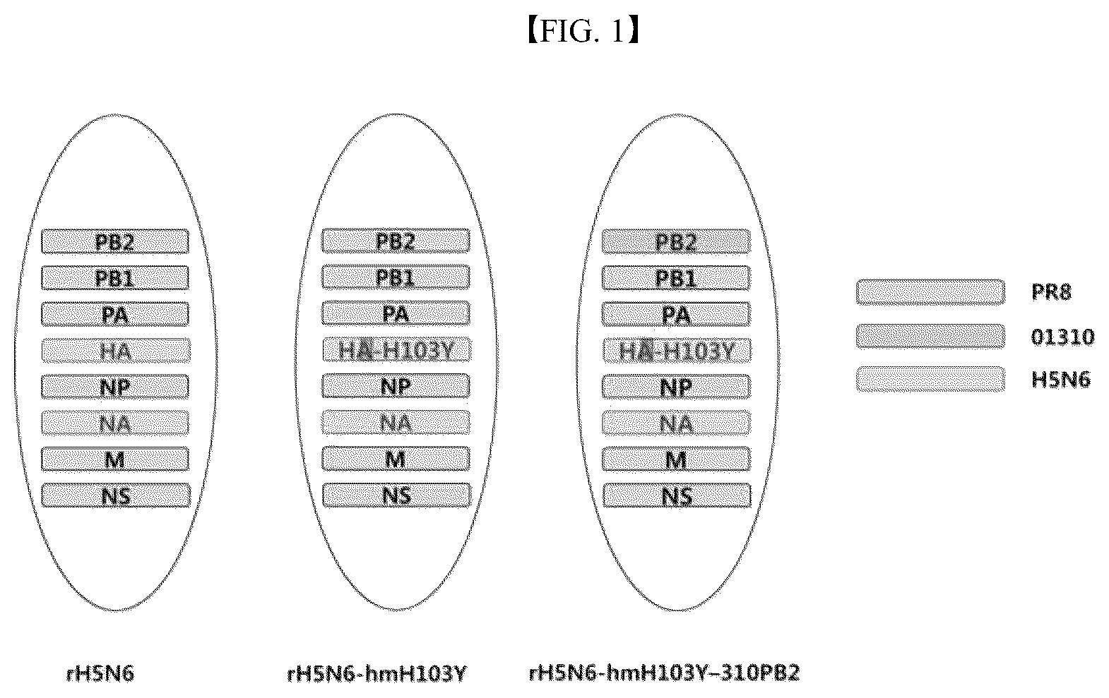 Patent US12090199 — H5N6 recombinant influenza virus, a composition for preparing the same, and a vaccine composition containing the same — Figure 1
