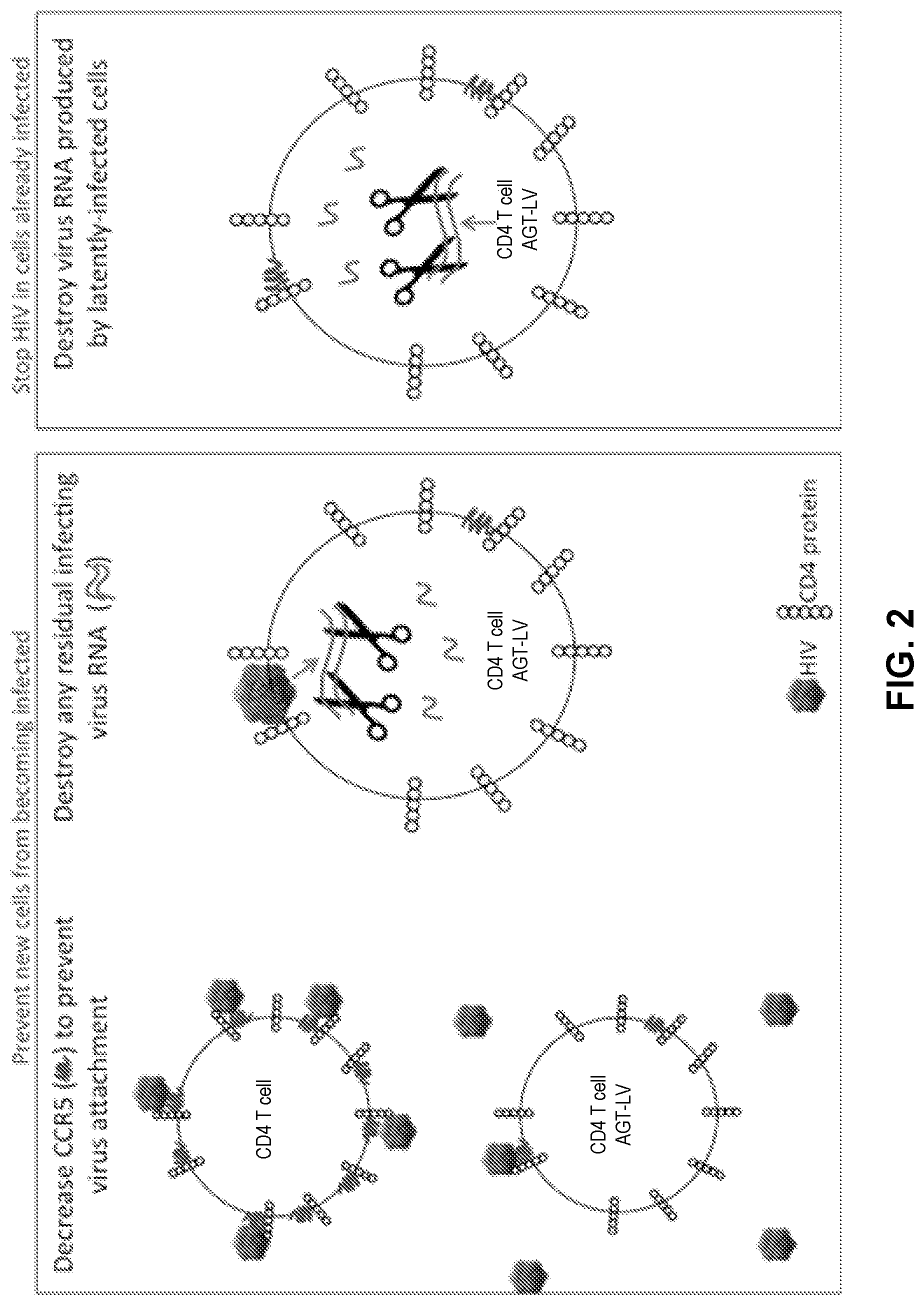 Patent US12090200 Figure 2 – Methods of producing cells resistant to HIV infection