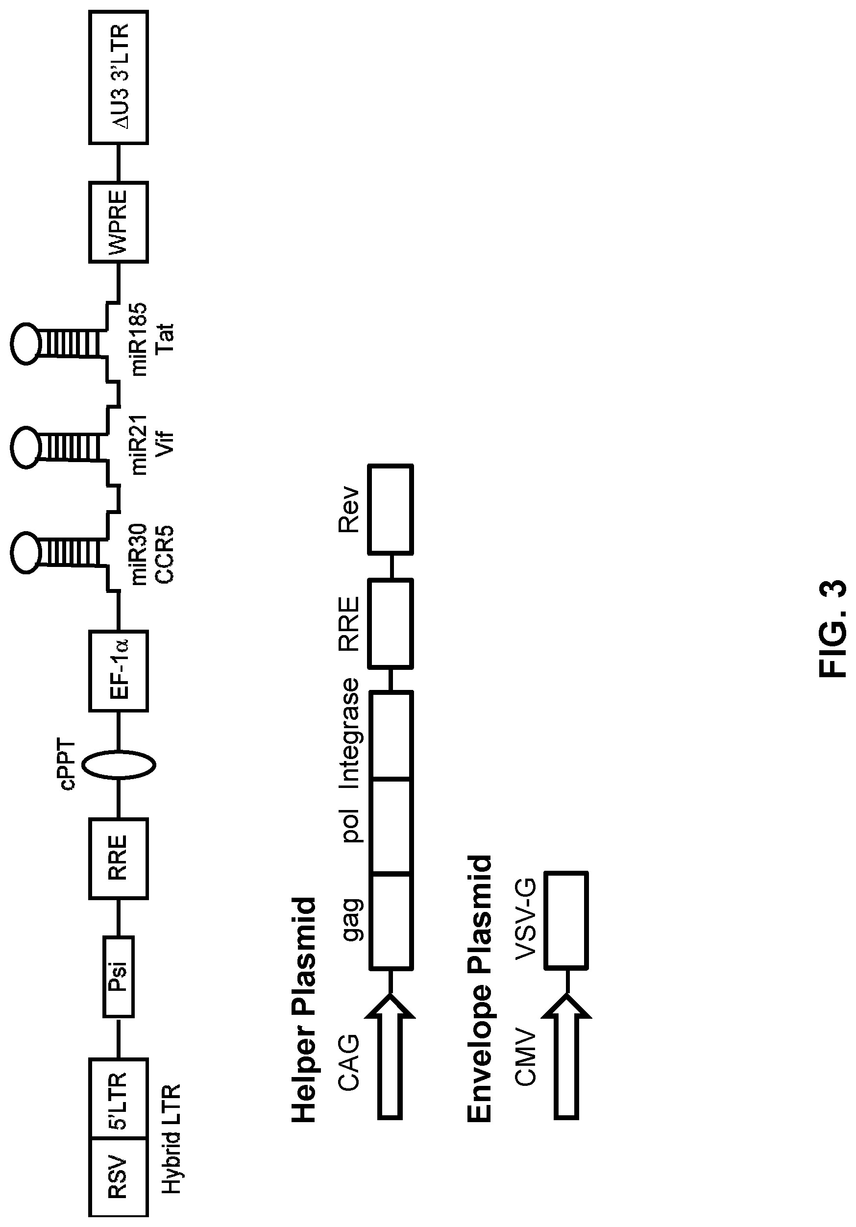 Patent US12090200 Figure 3 – Methods of producing cells resistant to HIV infection