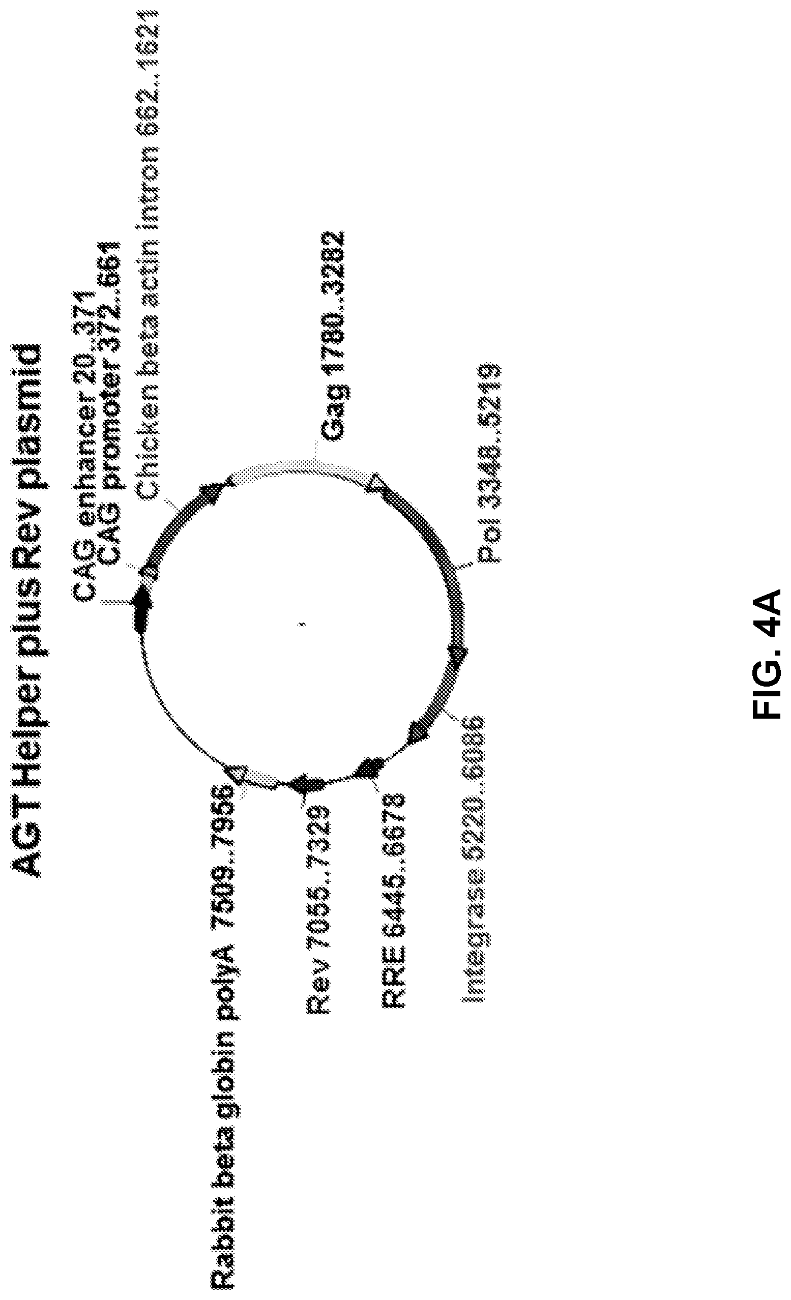 Patent US12090200 Figure 4 – Methods of producing cells resistant to HIV infection