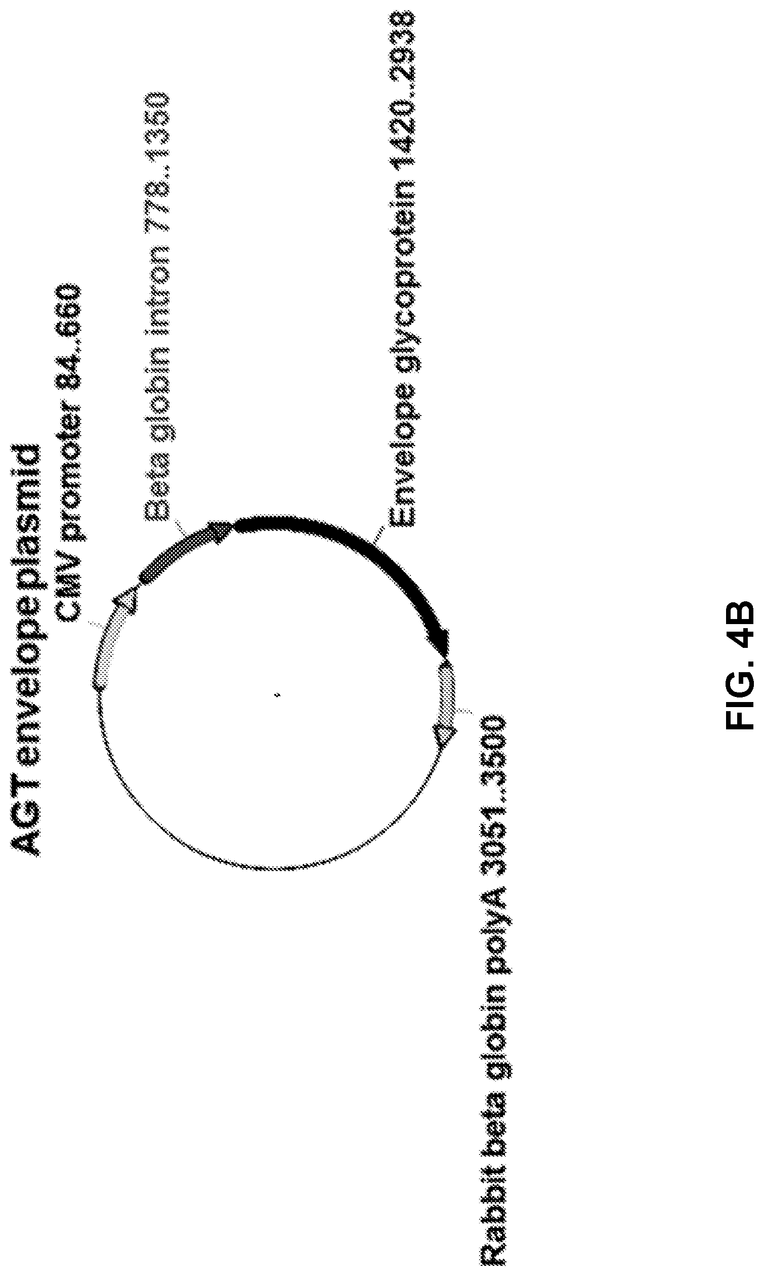 Patent US12090200 Figure 5 – Methods of producing cells resistant to HIV infection