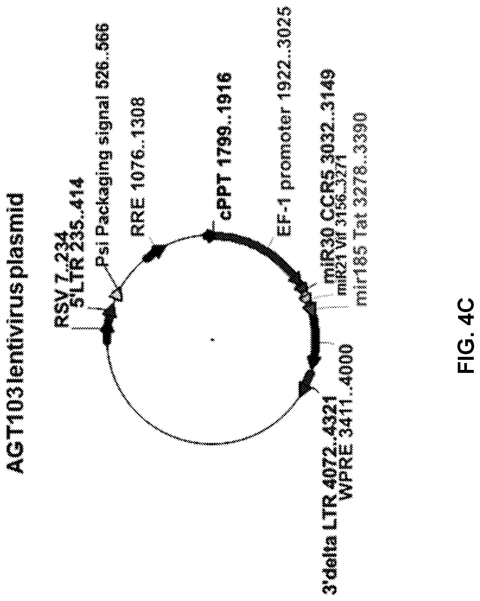 Patent US12090200 Figure 6 – Methods of producing cells resistant to HIV infection