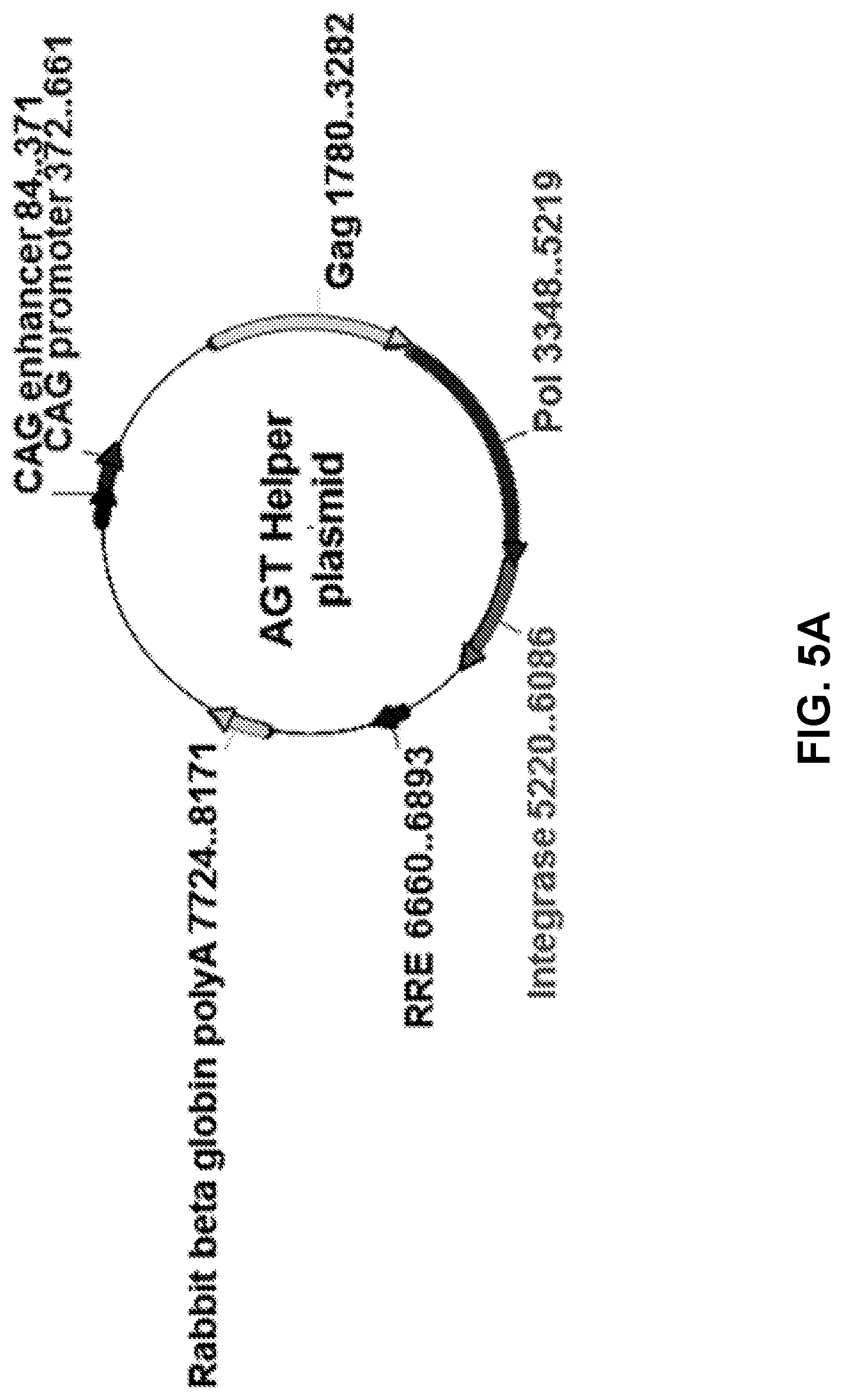 Patent US12090200 Figure 7 – Methods of producing cells resistant to HIV infection