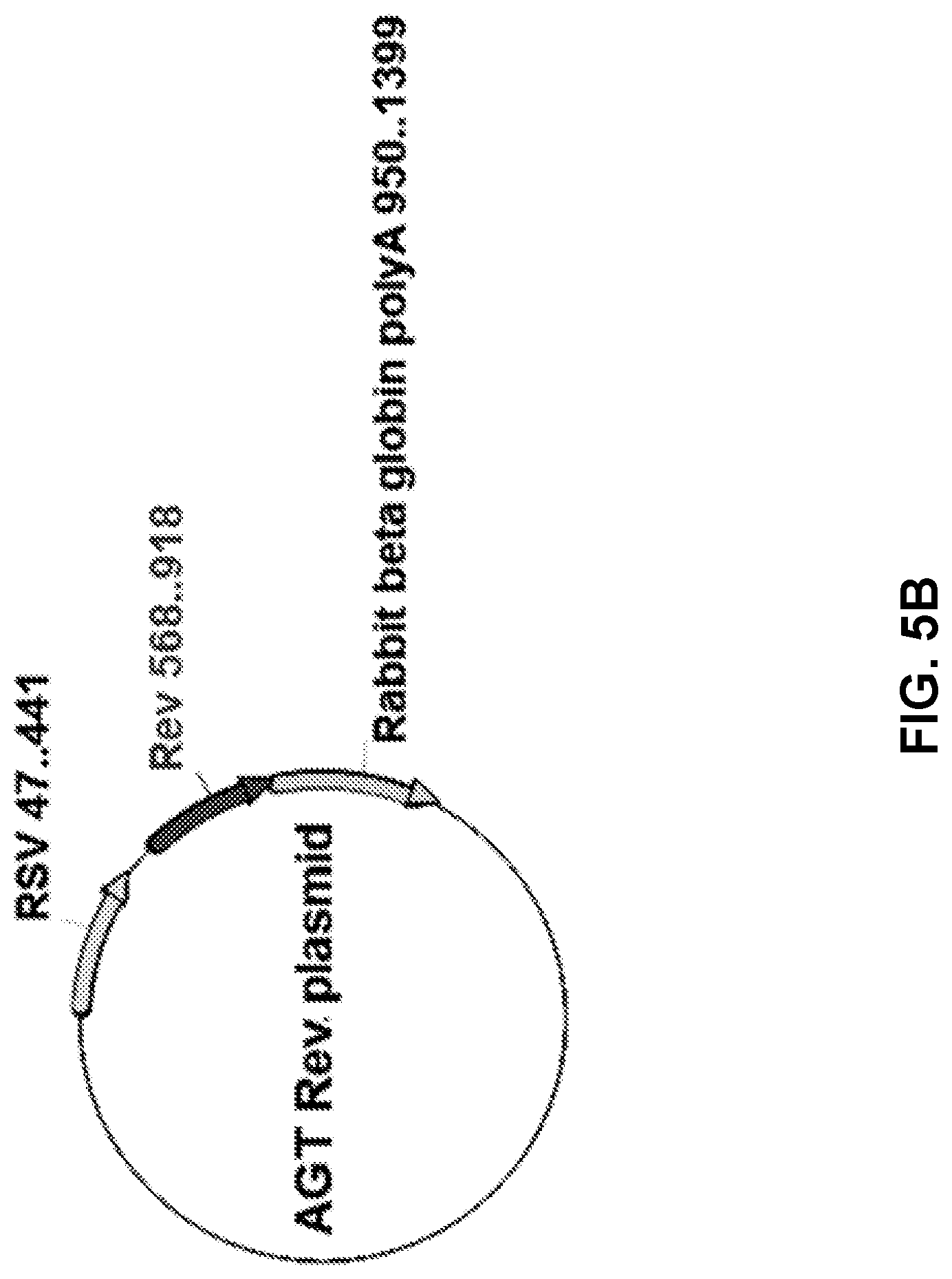 Patent US12090200 Figure 8 – Methods of producing cells resistant to HIV infection