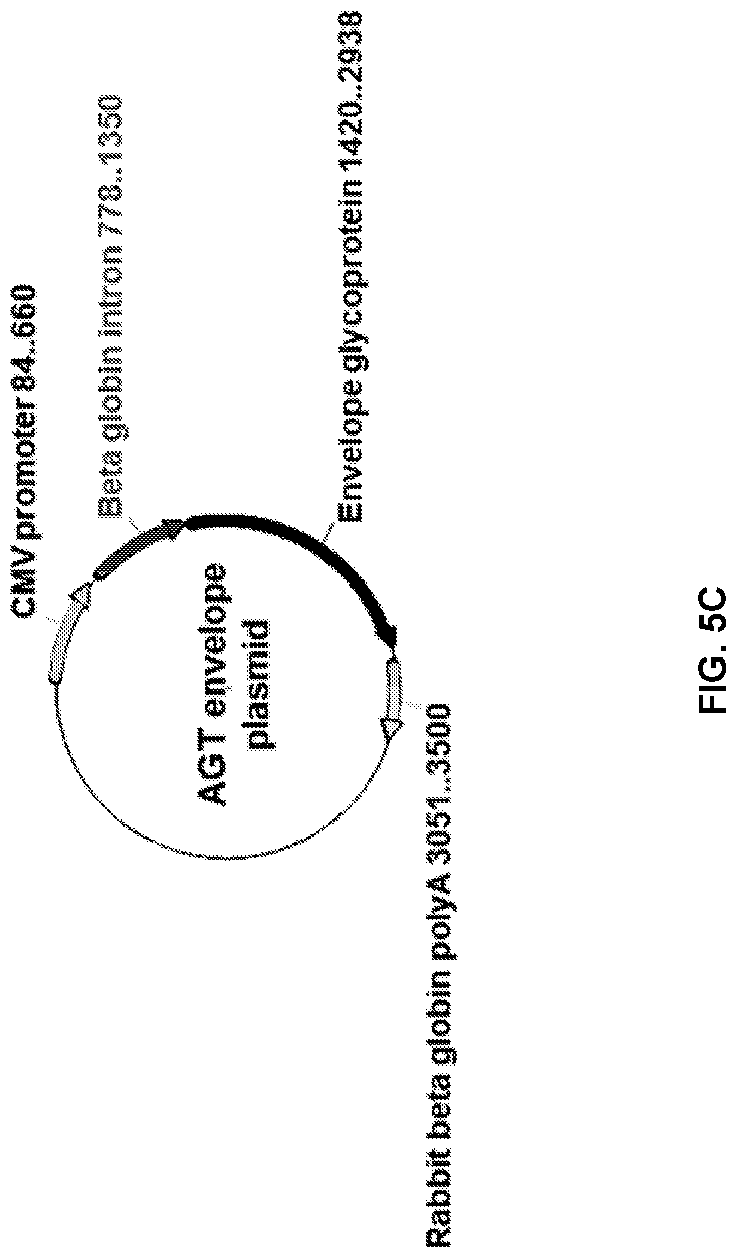 Patent US12090200 Figure 9 – Methods of producing cells resistant to HIV infection