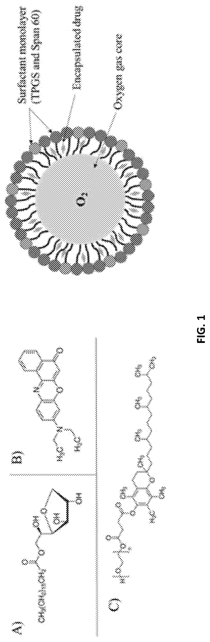 Patent US12090203 Figure 1 – Surfactant microbubbles compositions and process for preparing thereof