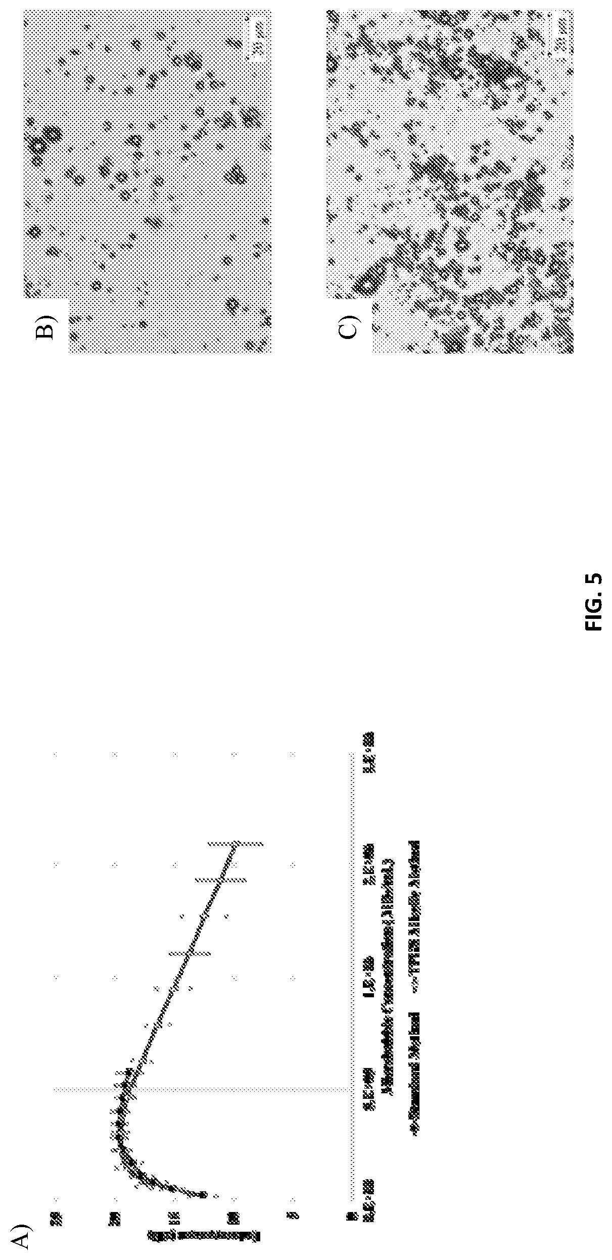 Patent US12090203 Figure 5 – Surfactant microbubbles compositions and process for preparing thereof