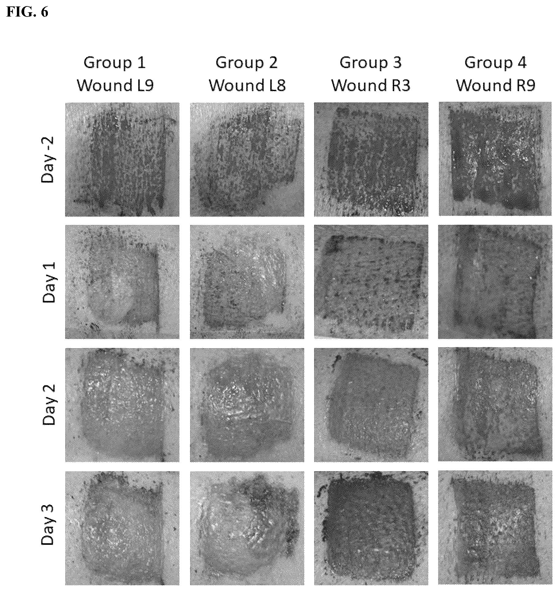 Patent US12090204 Figure 7 – Photodynamic therapy compositions and methods of use thereof